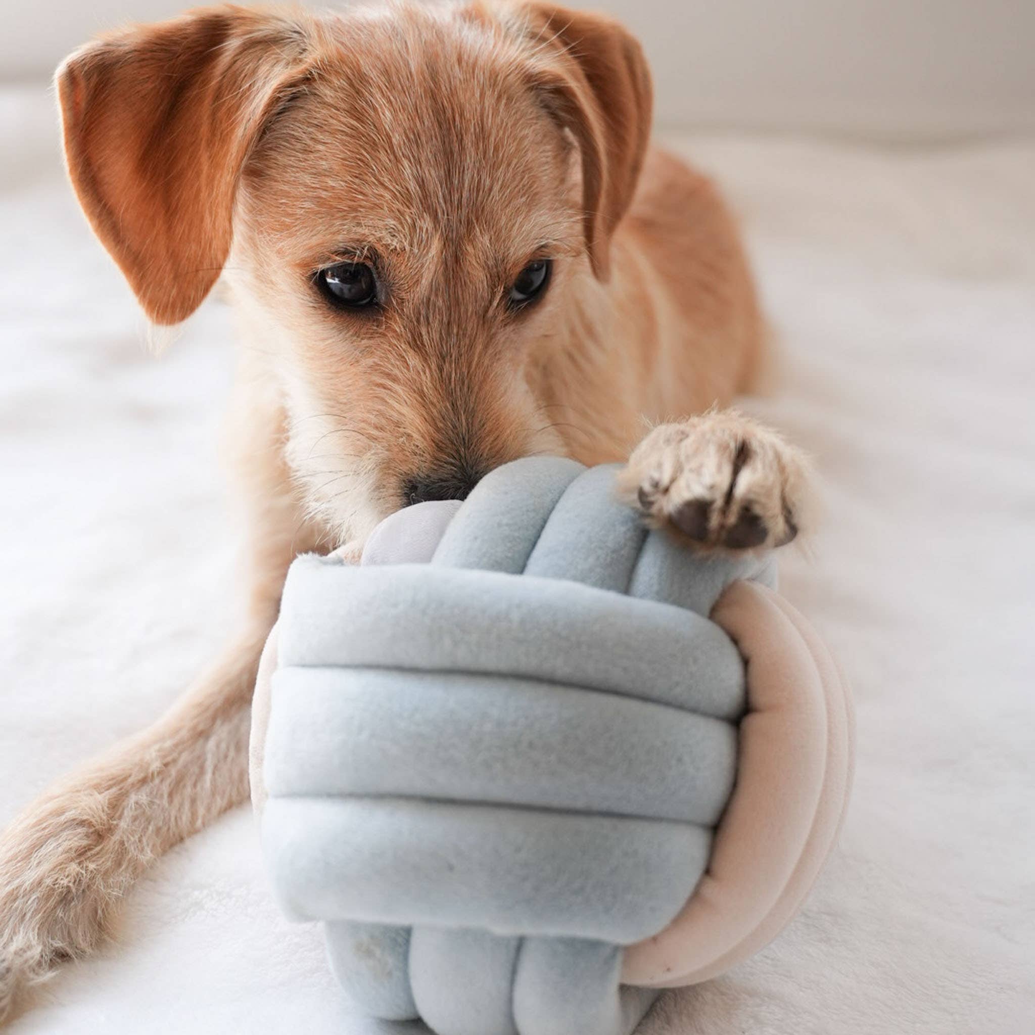 Pups & Bubs- Snuffle Knot Nosework Toy