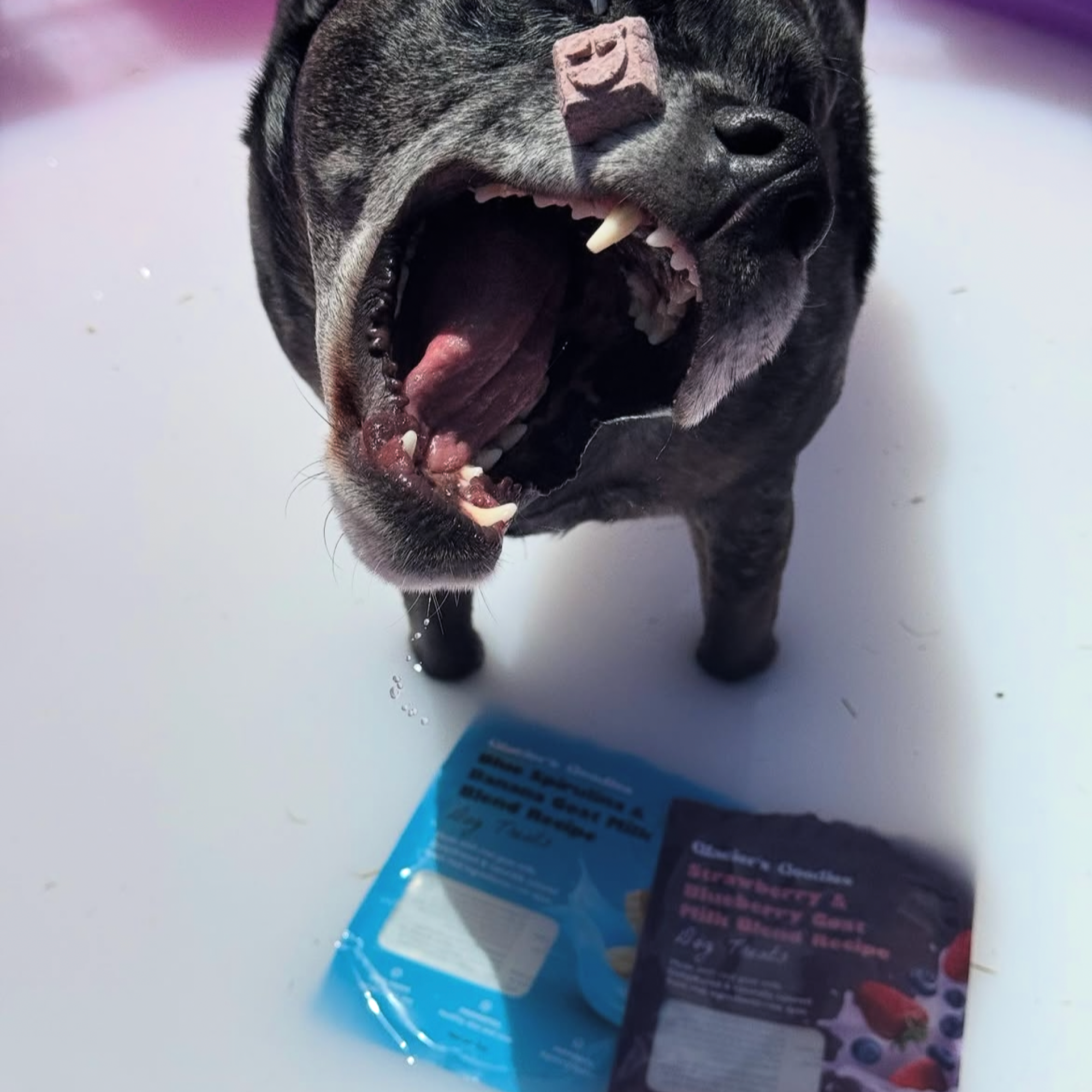 Glacier's Goodies - Goat Milk Dog Treats – Carob (7oz) 6pack