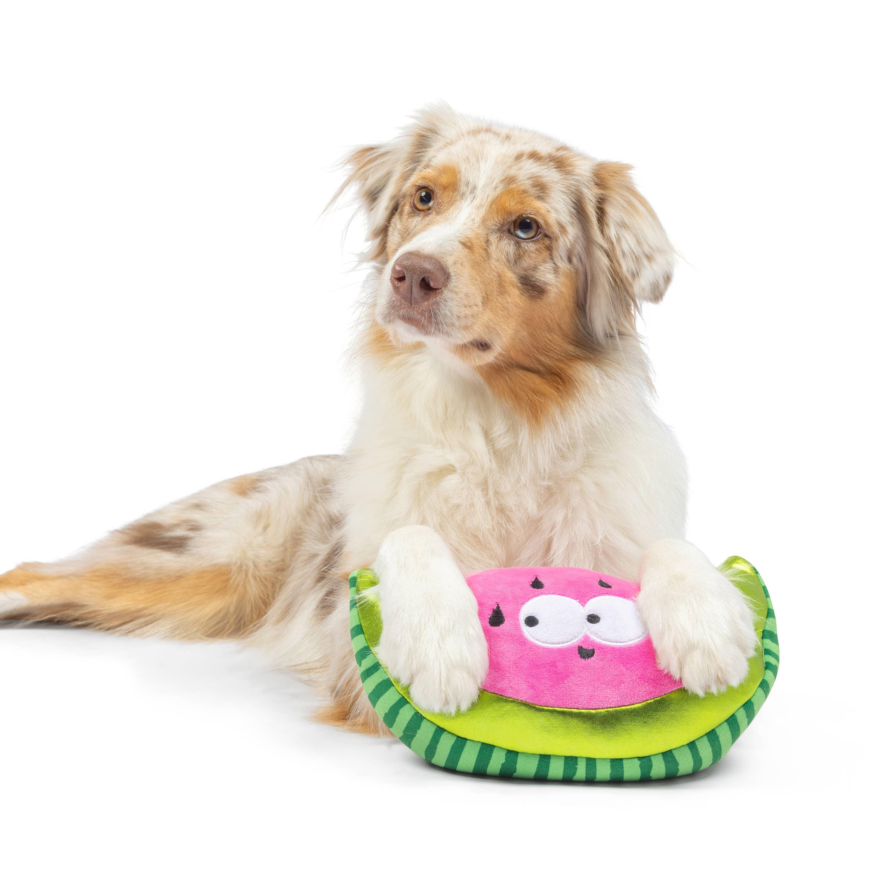 Huxley & Kent - Fetchies® Walter Melon Dog Toy: Large