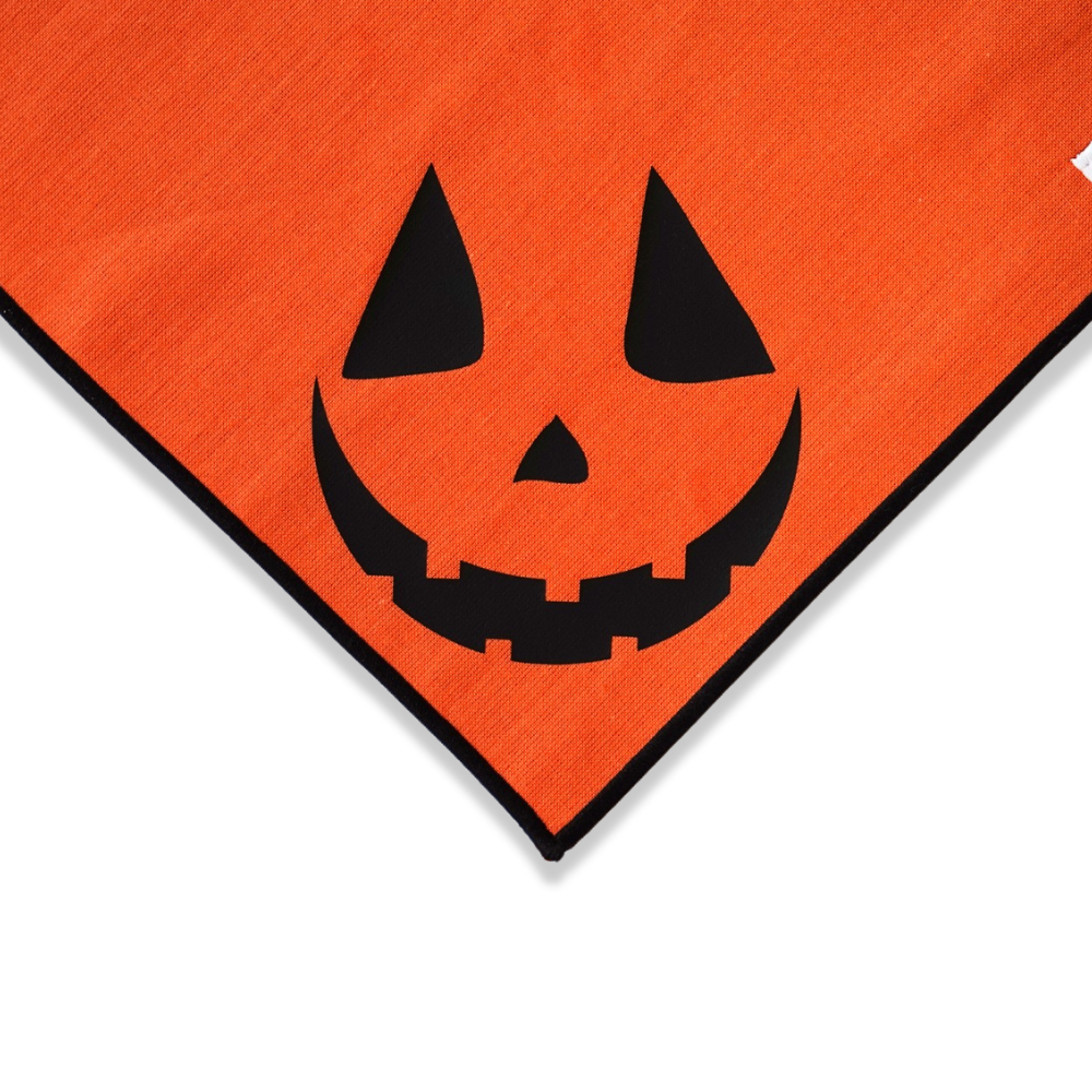 Boneyard Co. - "Jack-O'-Lantern" Cute Pumpkin Halloween Dog Bandana: Medium / Tie-On