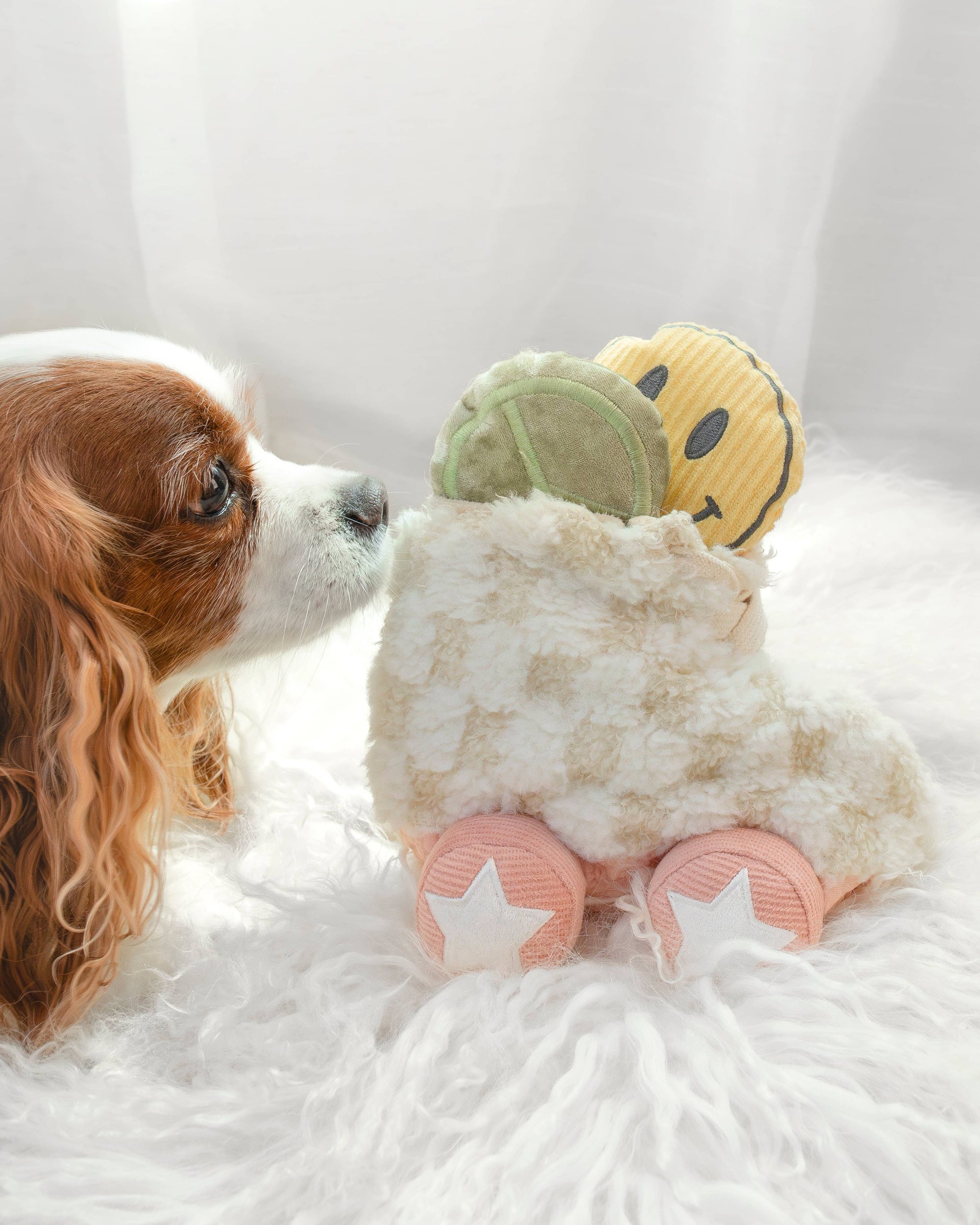 Lambwolf Collective - Roller Skate //ENRICHMENT DOG TOY