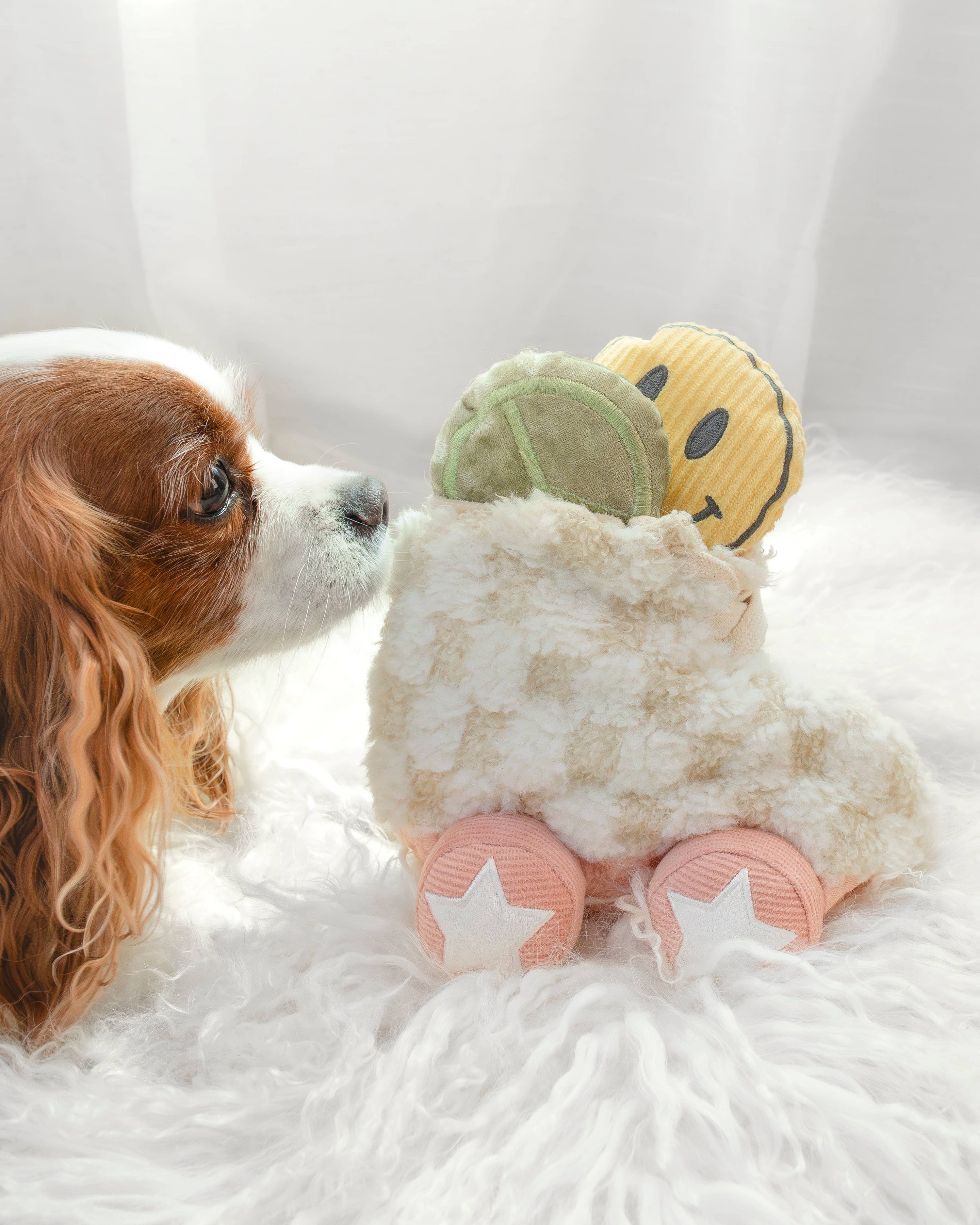 Lambwolf Collective - Roller Skate //ENRICHMENT DOG TOY