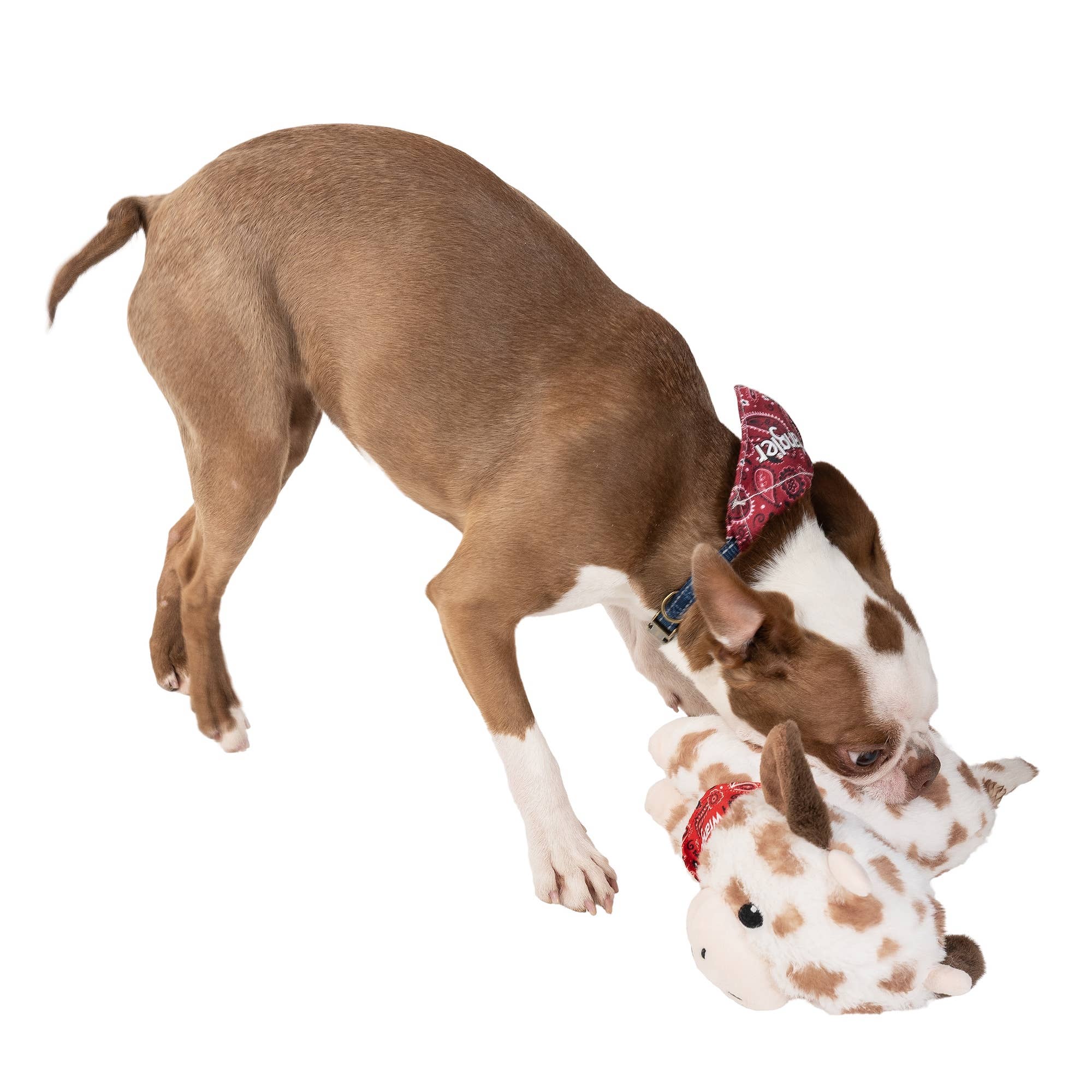 Lexington Pet & Wrangler Pet - Wrangler Western Spotted Cow Plush Toy