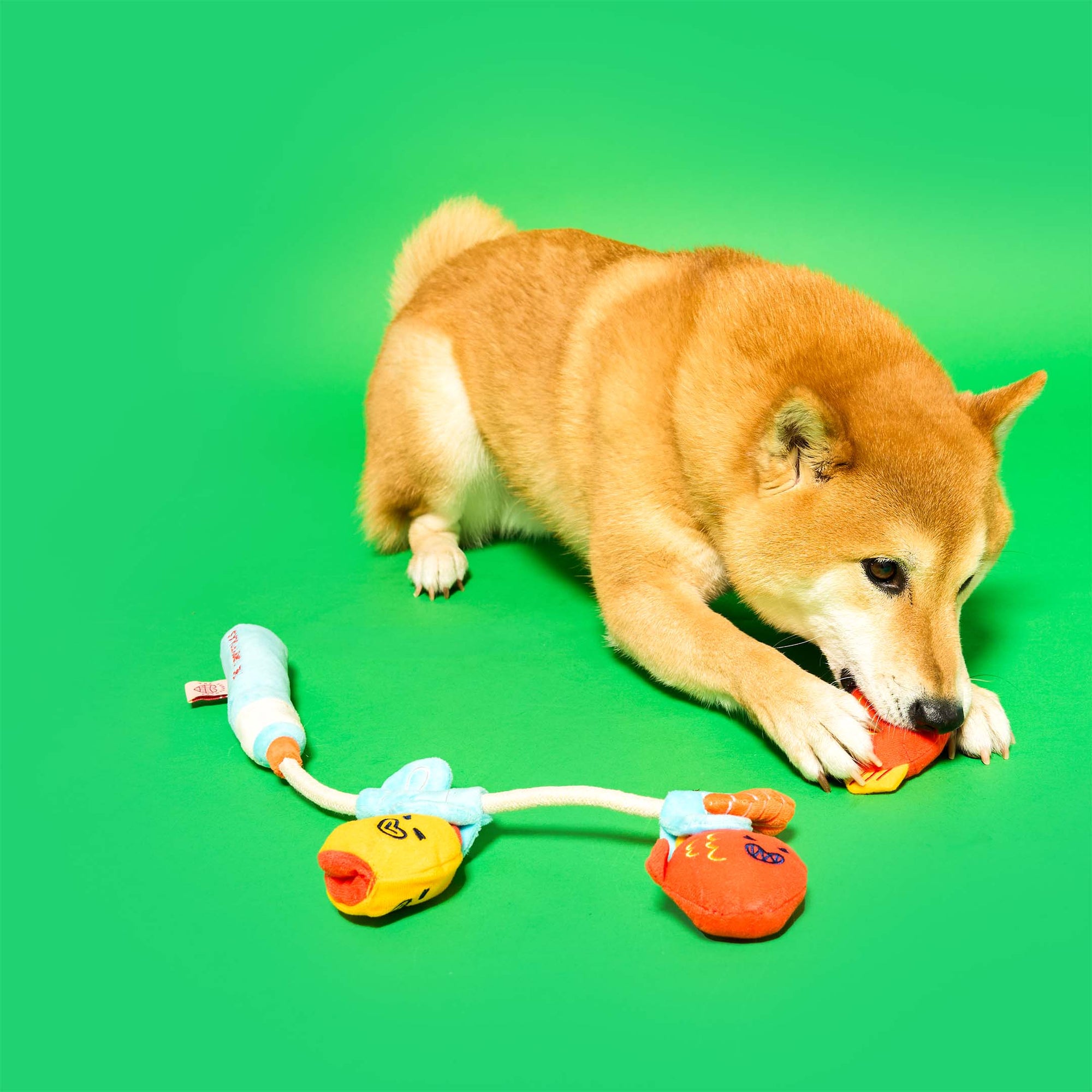 the furryfolks - Fishing Nosework & Tug Toy