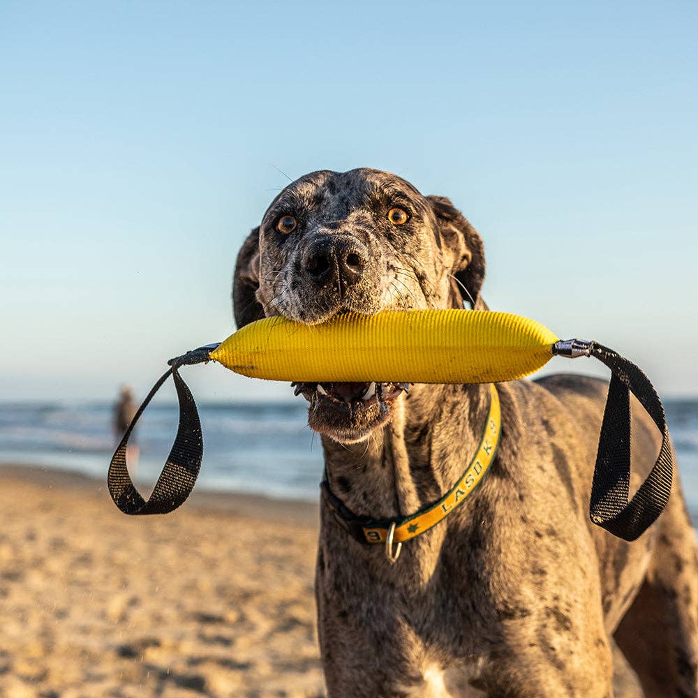 Katie's Bumpers - Best KB Double Tug Dog Tug Toy: Orange