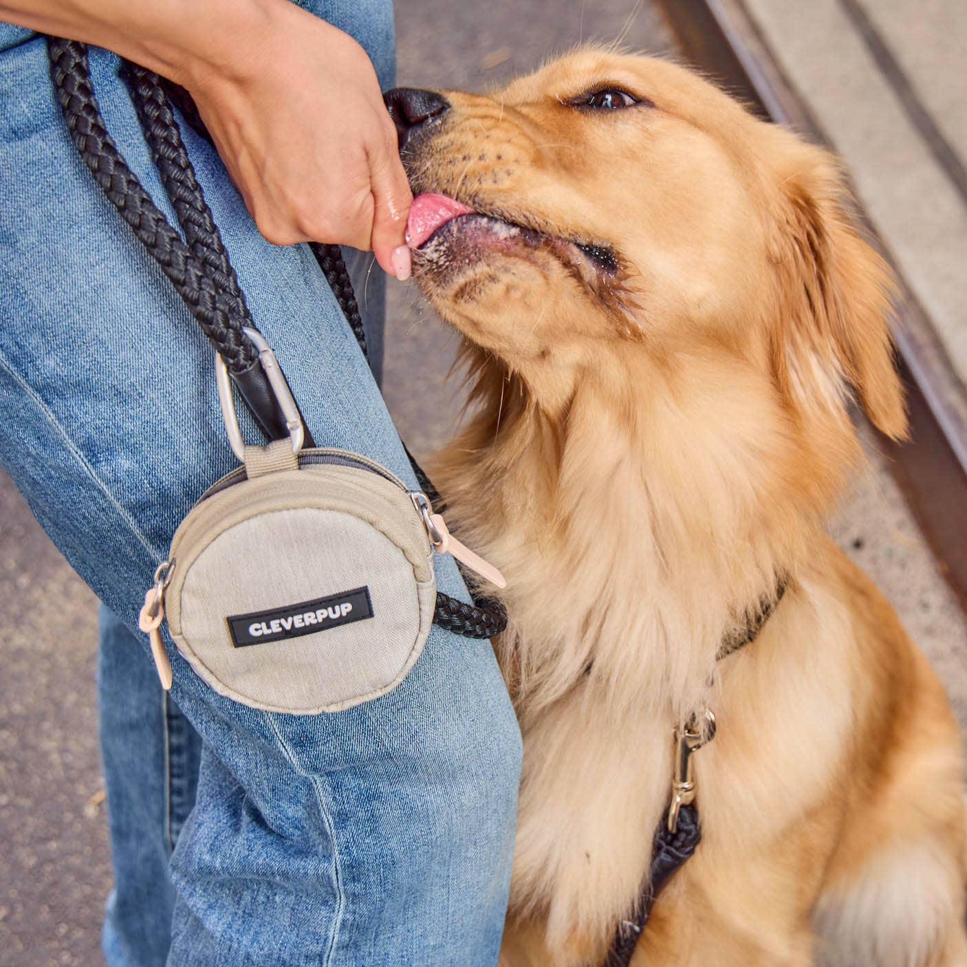 Cleverpup - Snackpack Double Insulated Dog Treat Pouch