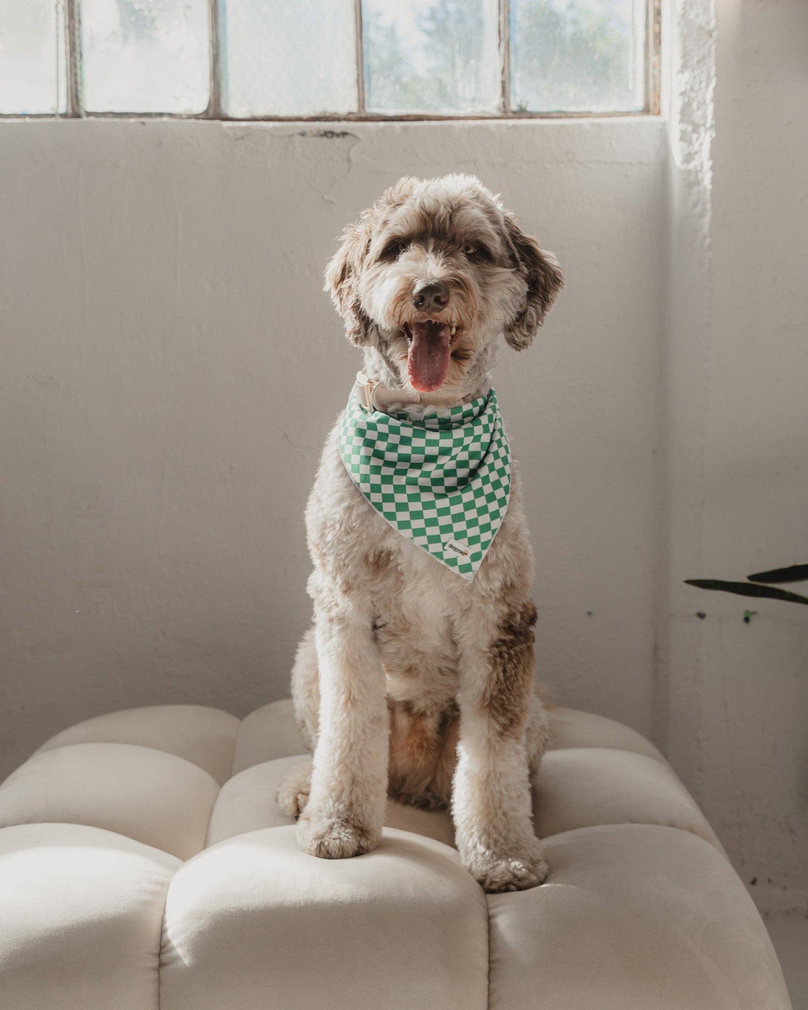 dexypaws - Cooling Bandana in Green Checkers: M/L