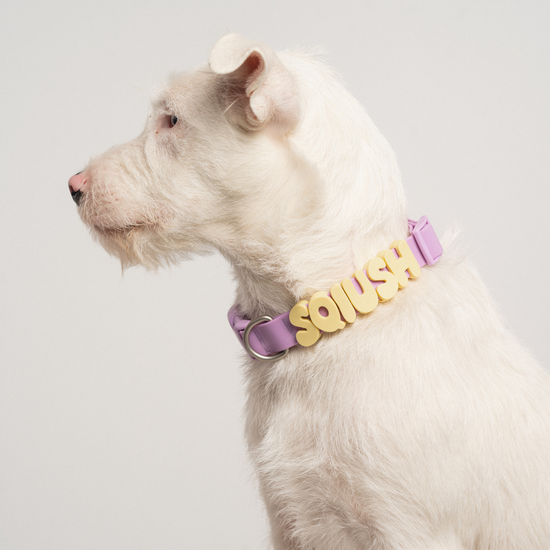 Springland Pets - Silicone Dog Charms for Dog Collar/Leash/Bottle (63 Charms): Butter