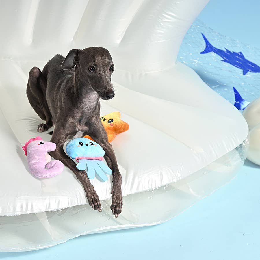 Hugsmart Products Inc - Ocean Pals Aqua Friends Dog Rope Toy