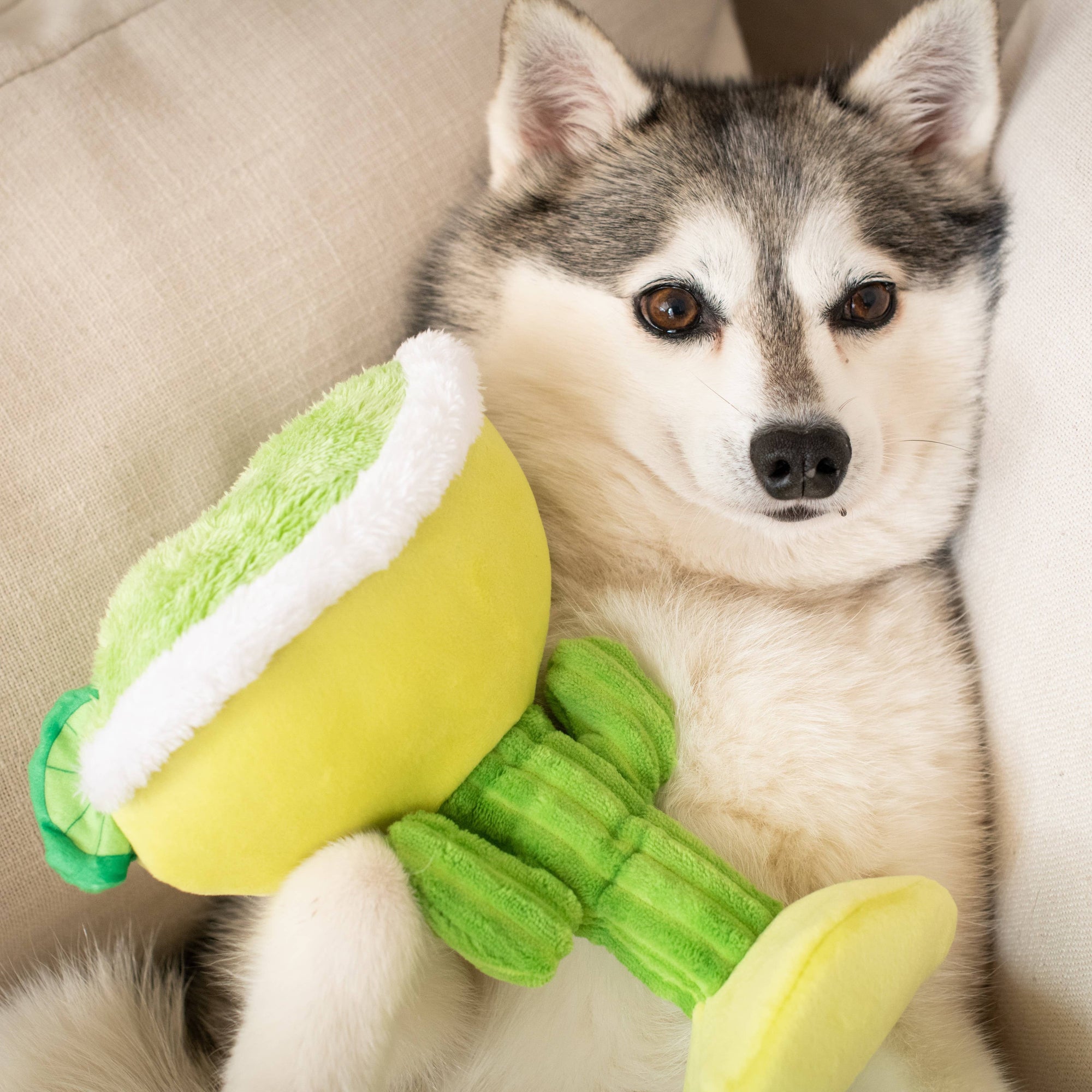 Huxley & Kent - Margarita Loco Dog Toy