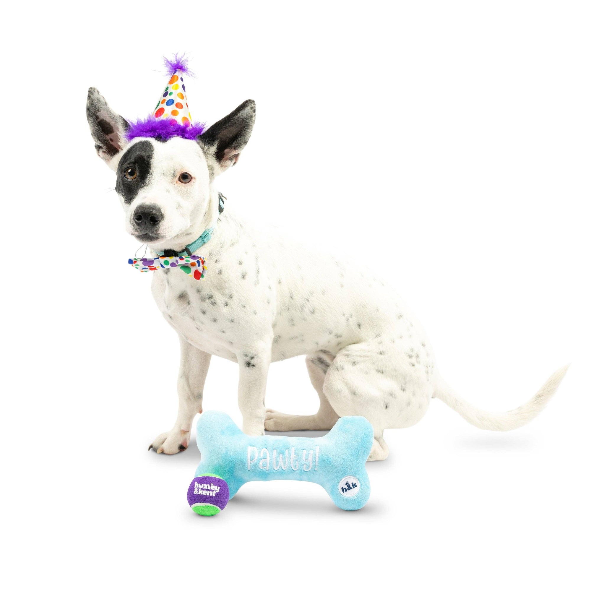 Huxley & Kent - Happy Barkday Celebration Box (Small)