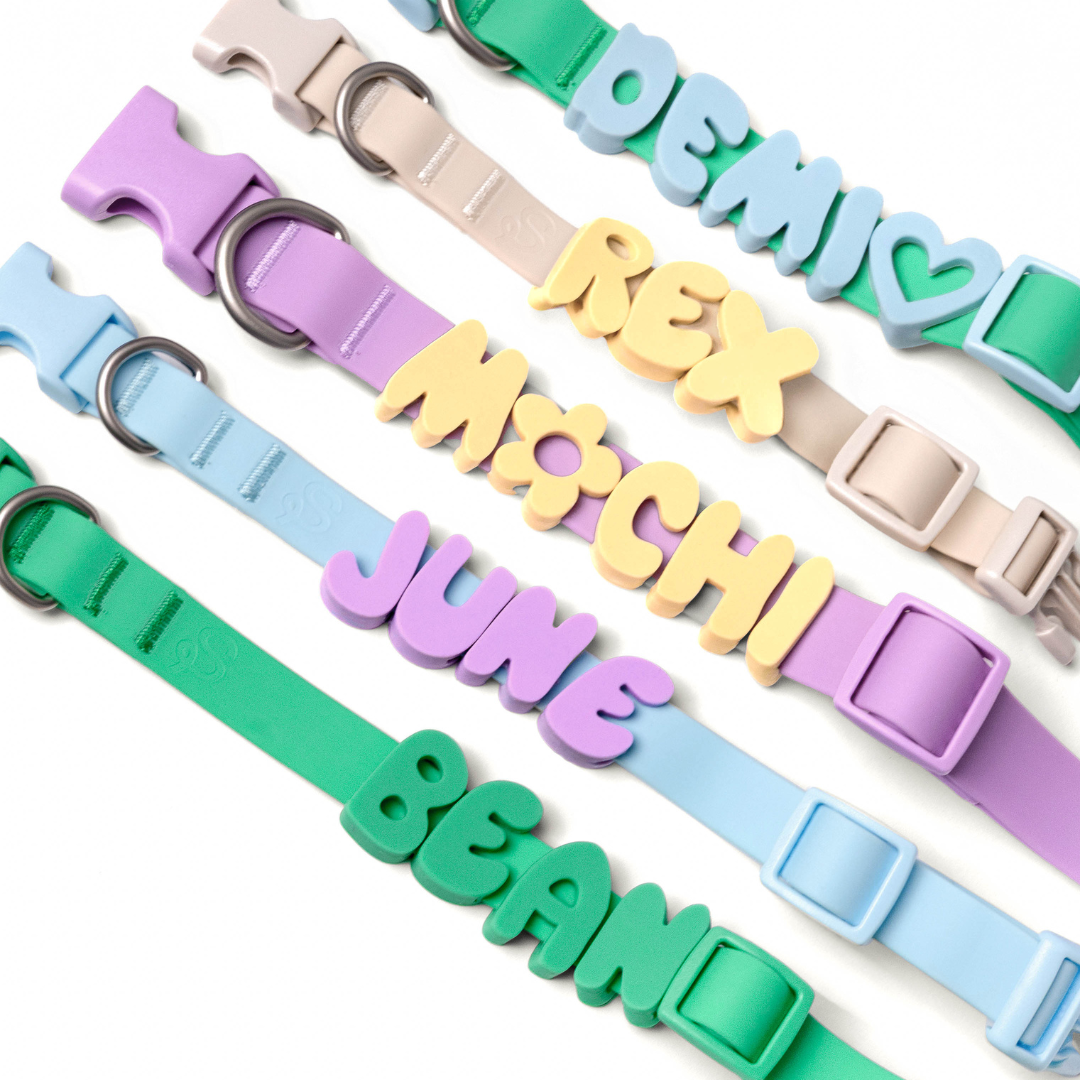 Springland Pets - Waterproof & Adjustable Dog Collar (Small, Medium, Large)