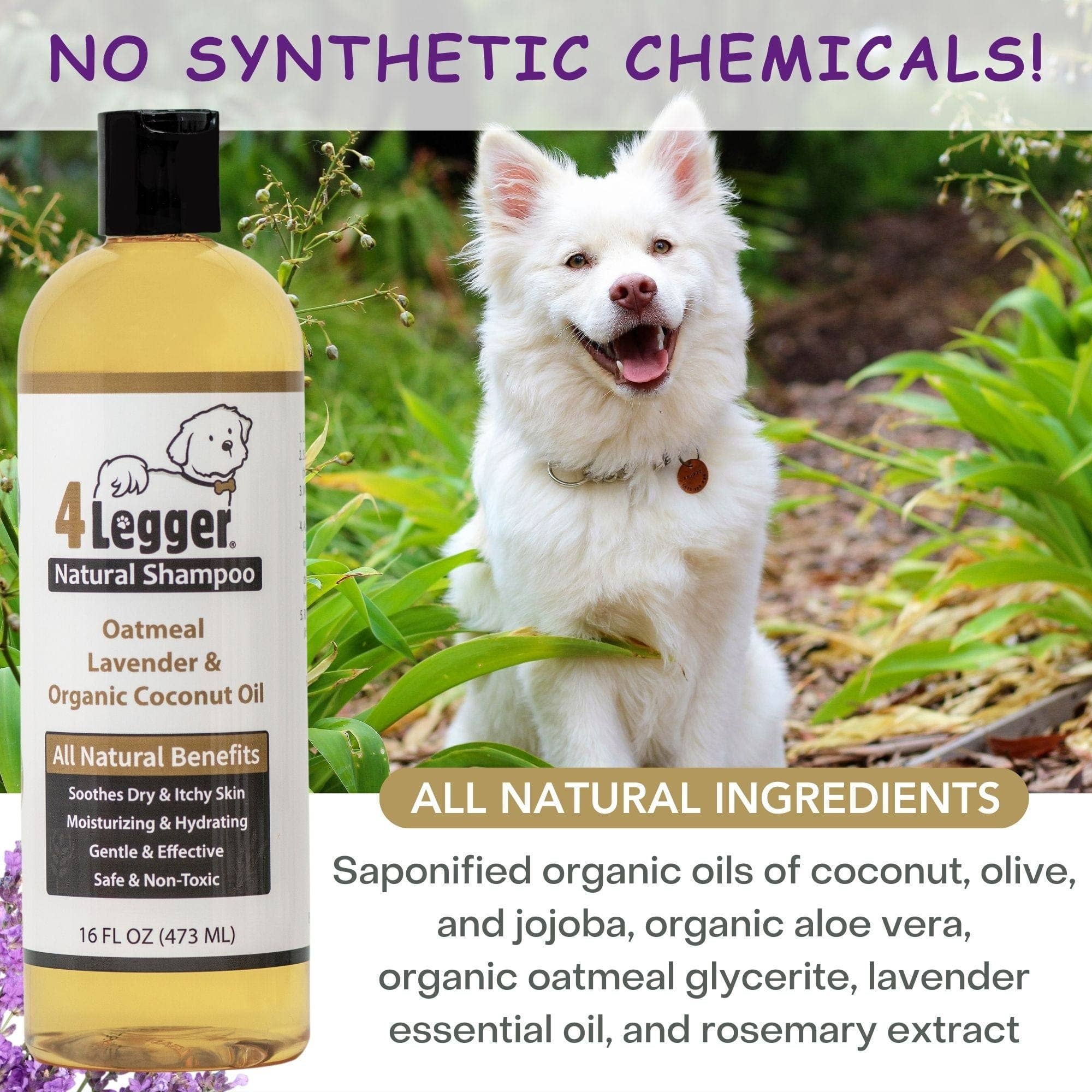 4-Legger - Organic Oatmeal Dog Shampoo with Lavender and Aloe: (16 oz)