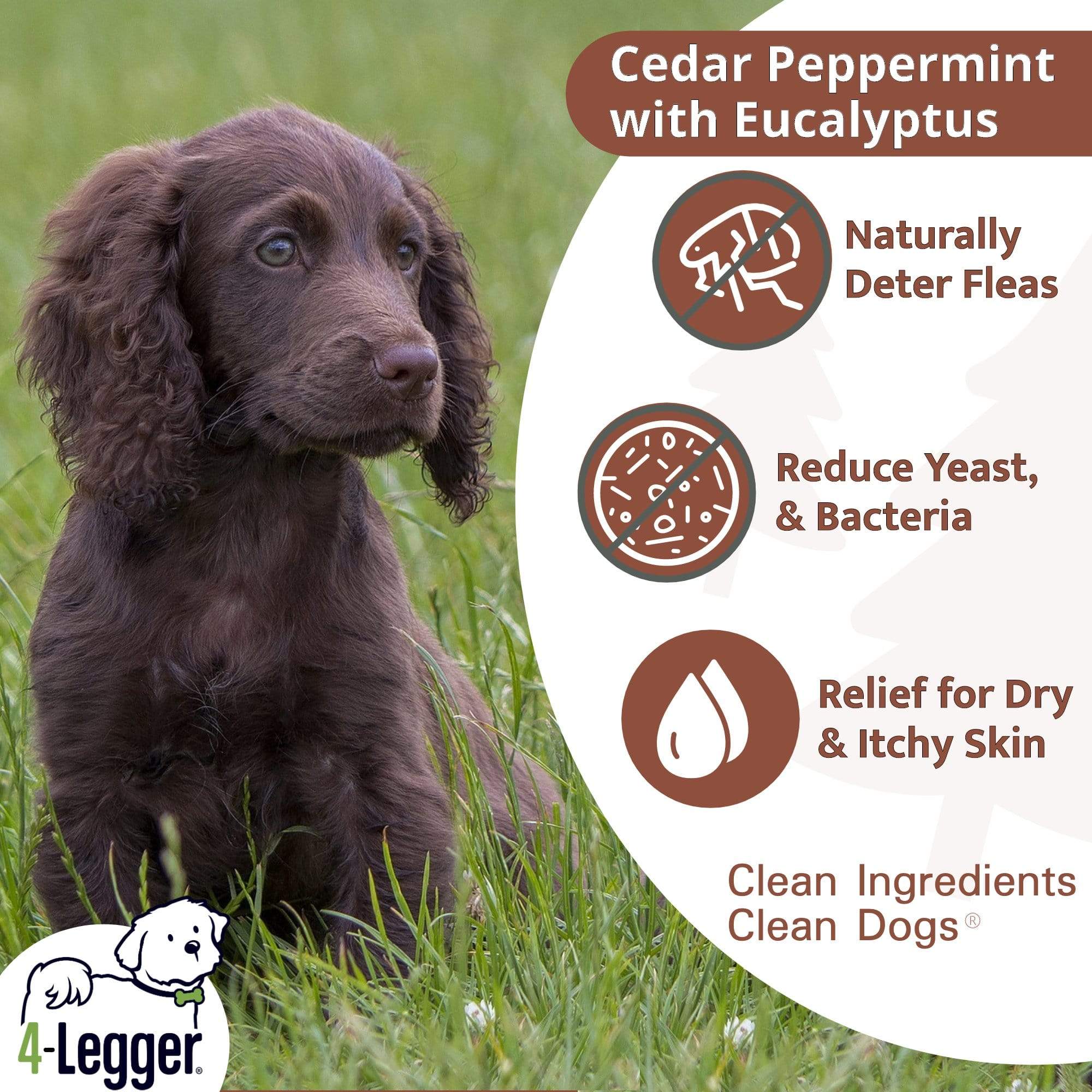 4-Legger - Natural Cedar Dog Shampoo and Conditioner with Peppermint & Eucalyptus: 2 oz