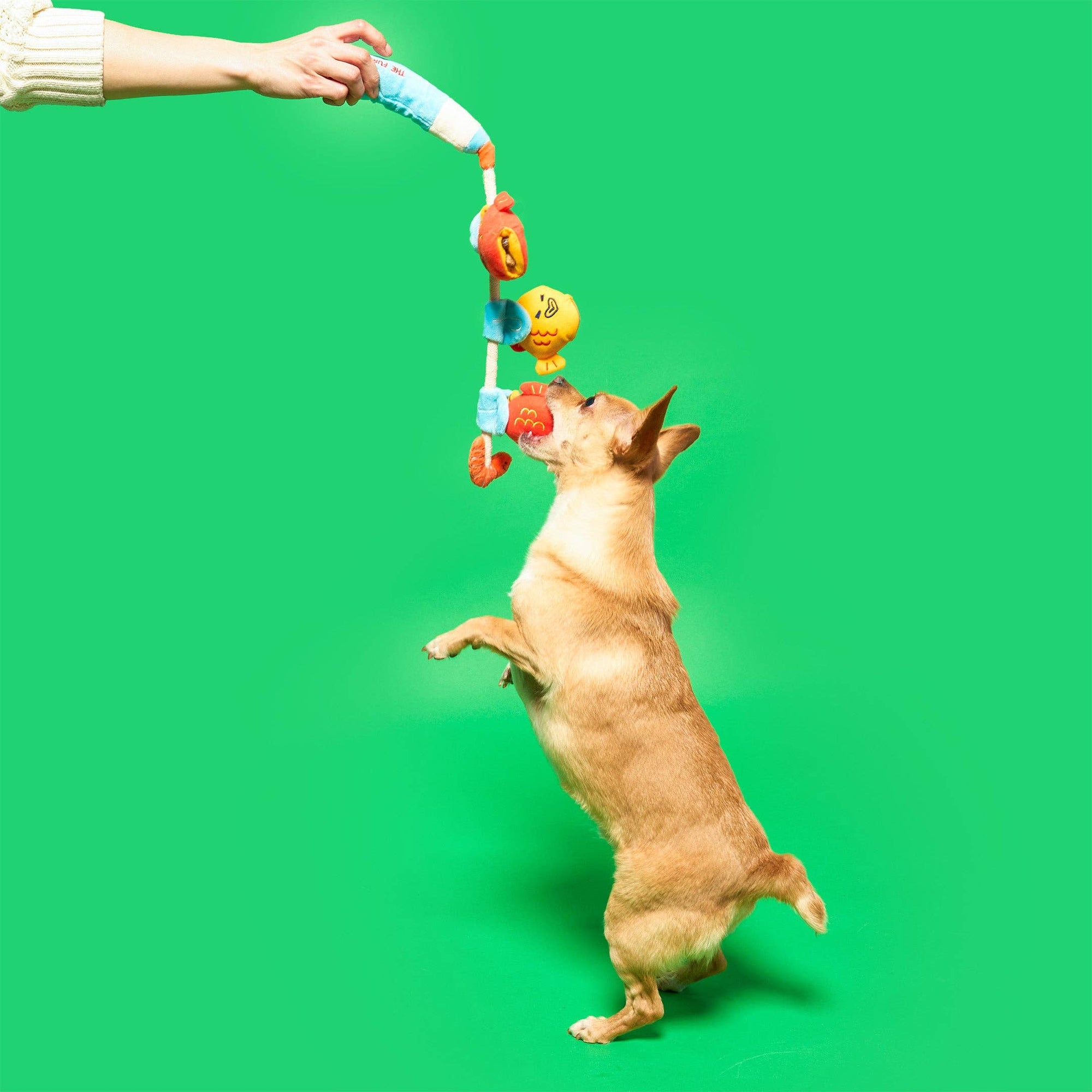 the furryfolks - Fishing Nosework & Tug Toy