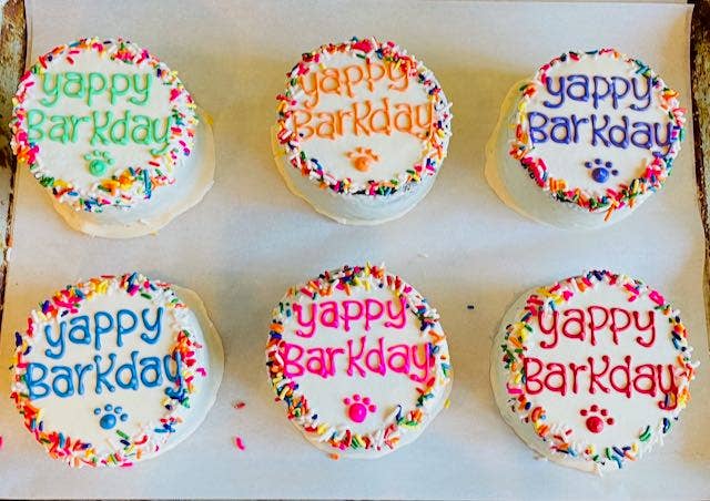 Taj Ma-Hound Bakery for Dogs - Yogurt Covered Sprinkle Cake w/Assorted Writing - Dog Treat