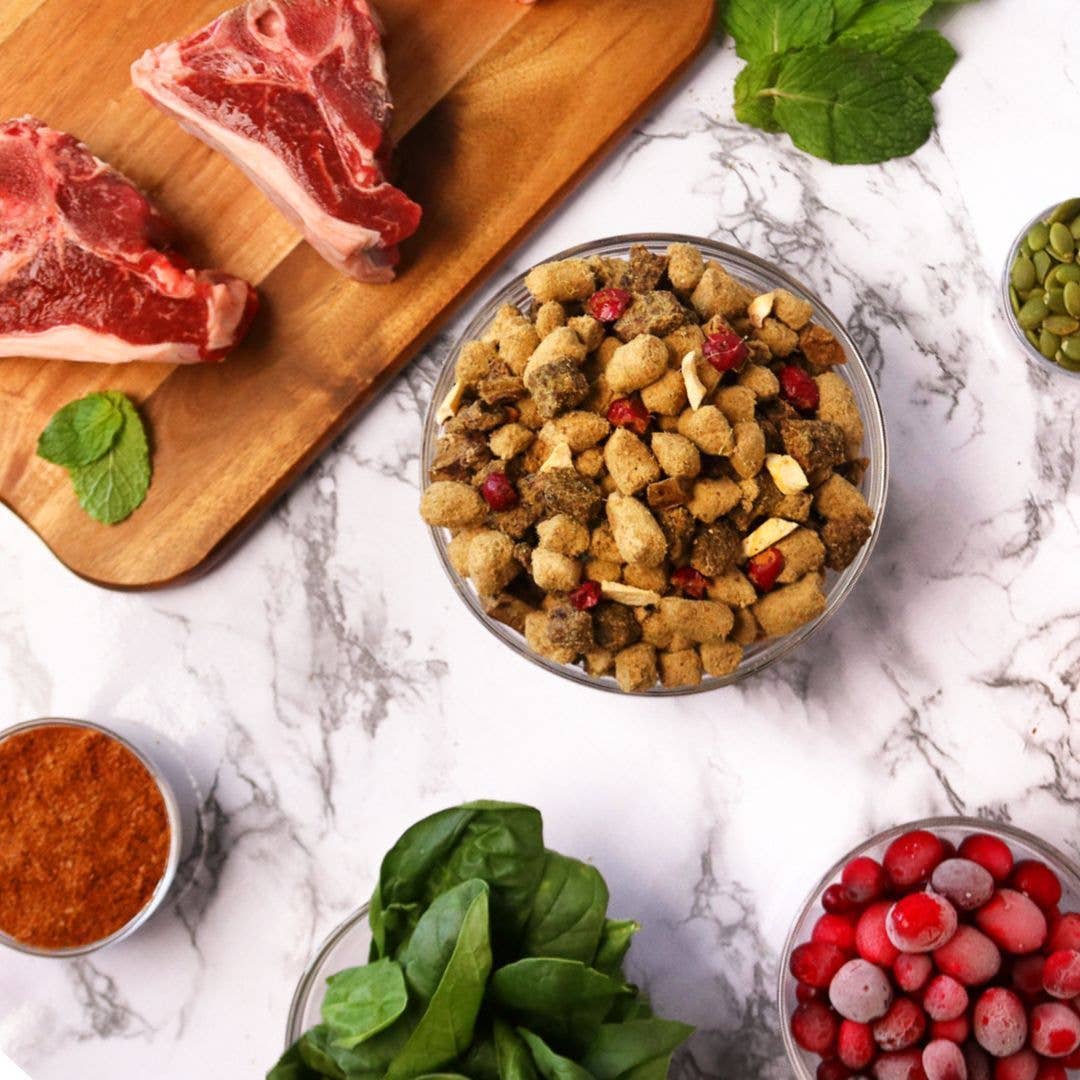 The Simple Food Project- Lamb Recipe for Dogs: Original Nuggets (1.5-lb)