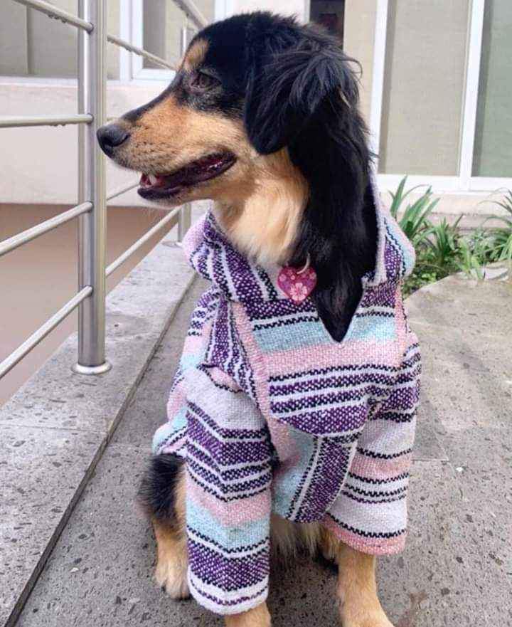 Mom And Pup Co. - Baja Dog Poncho - Mexican Dog Hoodie, Boho Dog Sweater: Small