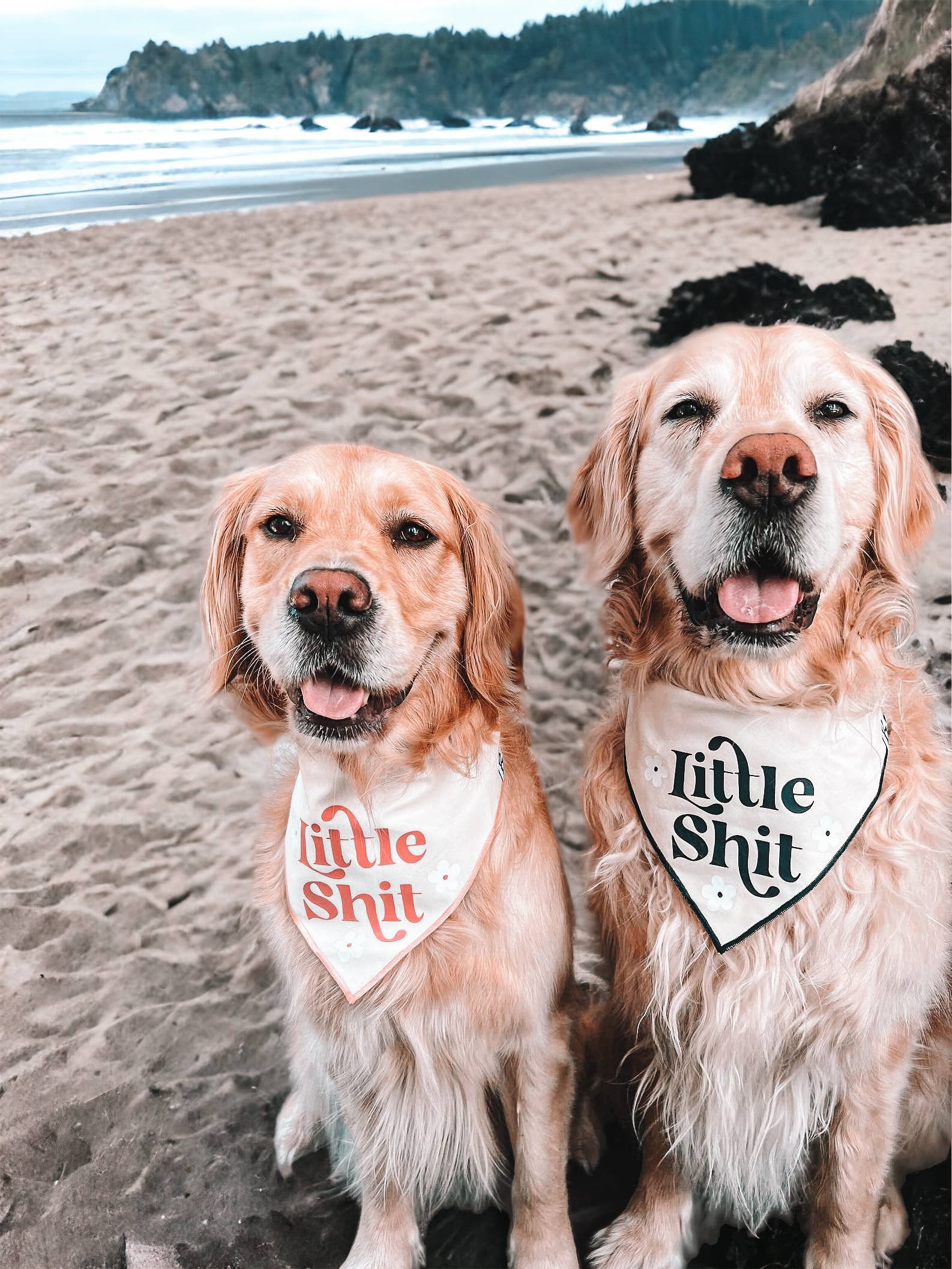 Boneyard Co. - "Little Sh*t" Funny Sassy Dog Bandana, unique dog mom gifts: Navy / Medium / Tie-On