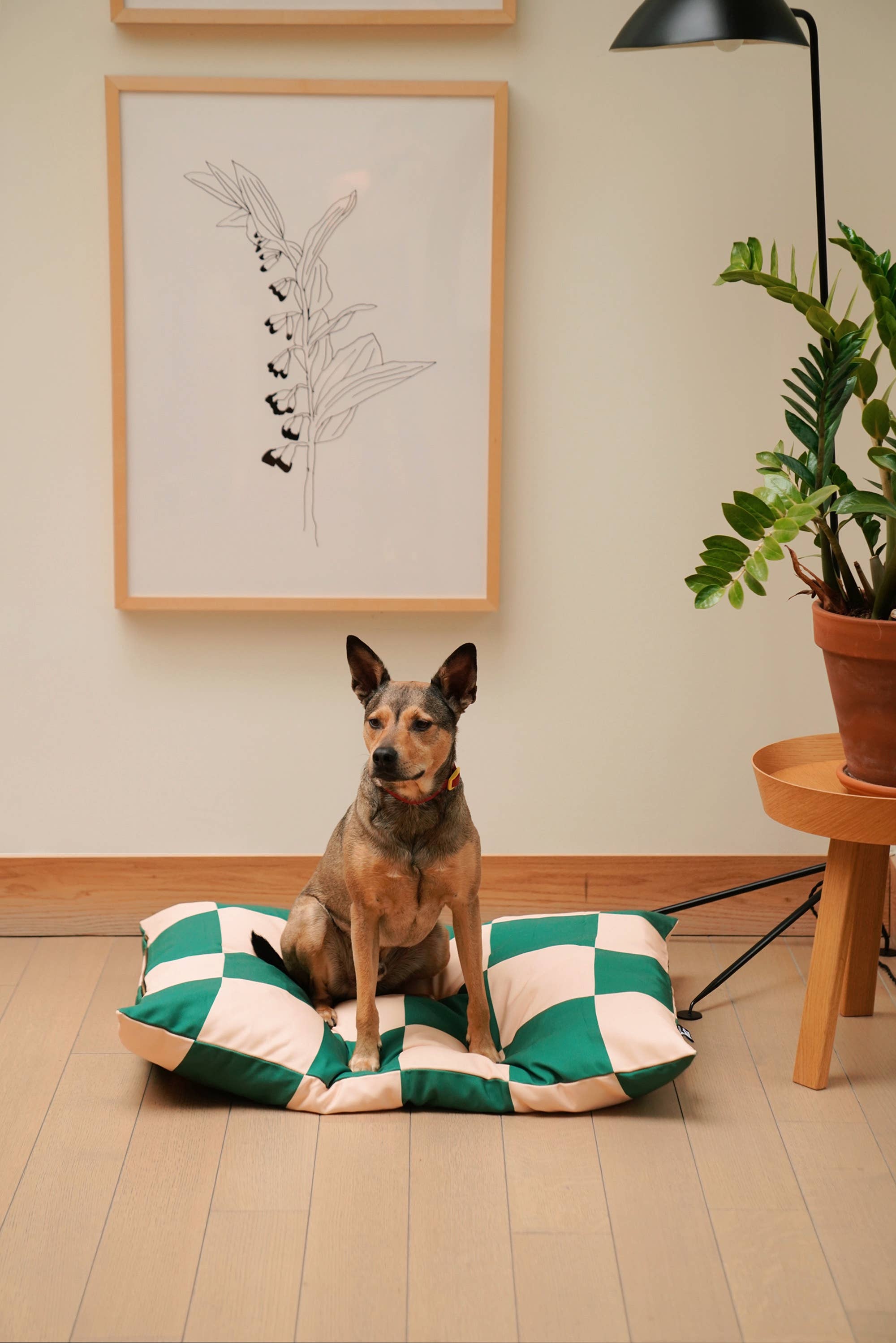 Approved by Fritz - USA - The Fritz Dog Bed | Recycled | Machine Washable: Checkered / Grande
