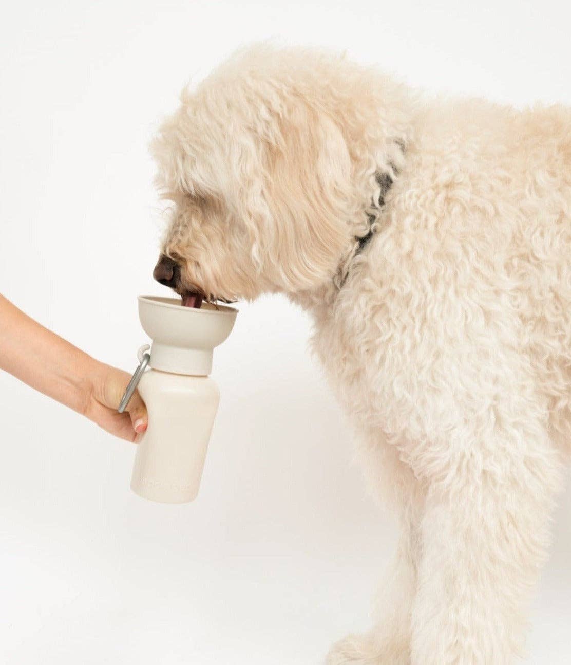 Springer Pets - Dog Travel Water Bottle, 20oz, Flip Silicone (12 Pack): Mixed (12 Pack)