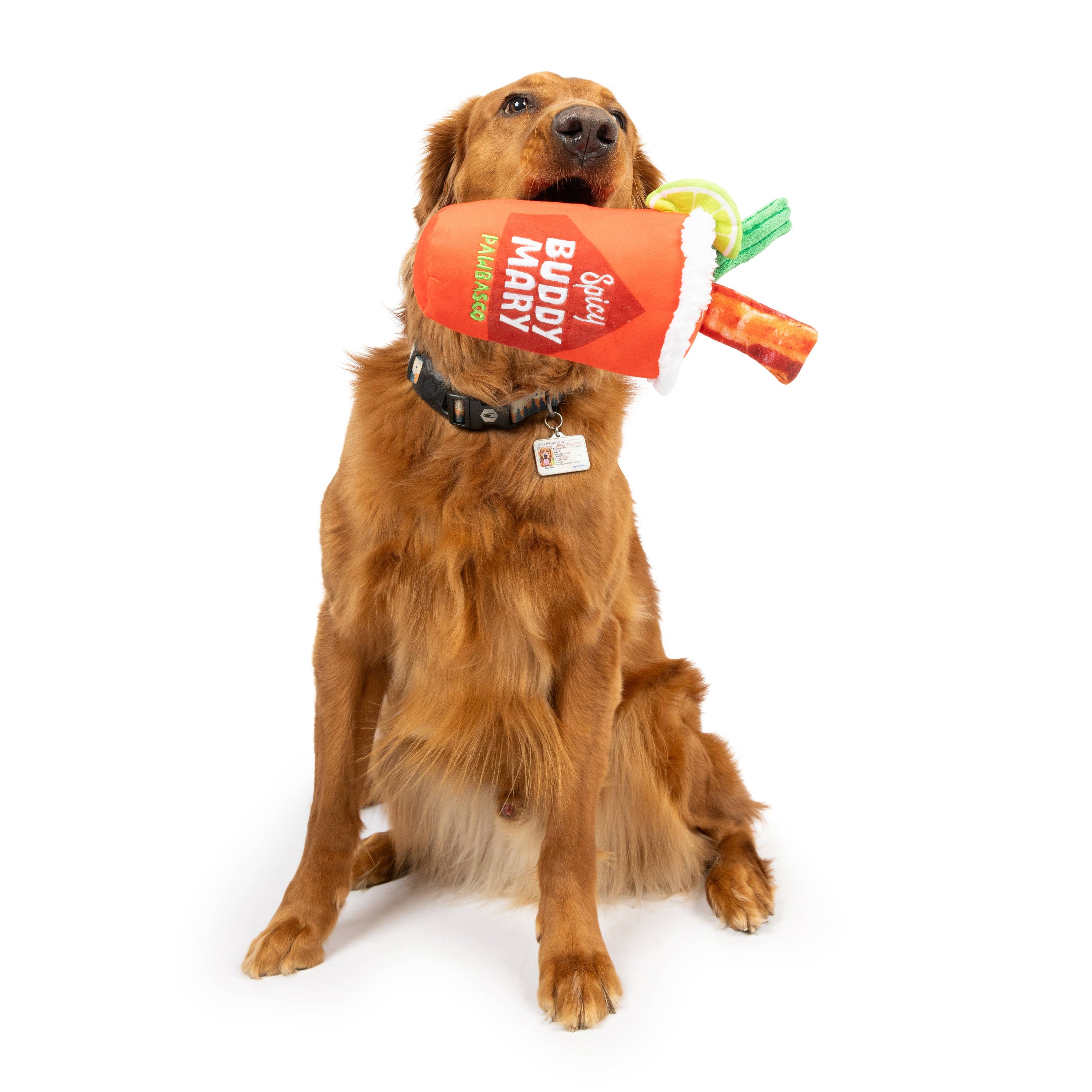 Huxley & Kent - Buddy Mary Dog Toy (Large)