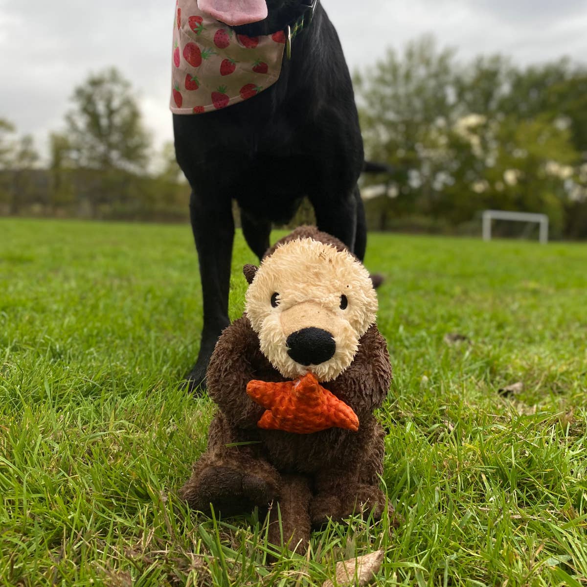 Tall Tails | Otter Rope Body Dog Toy