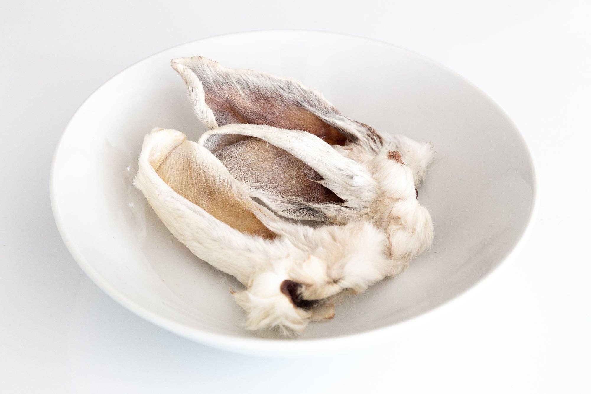 Rabbit Ear