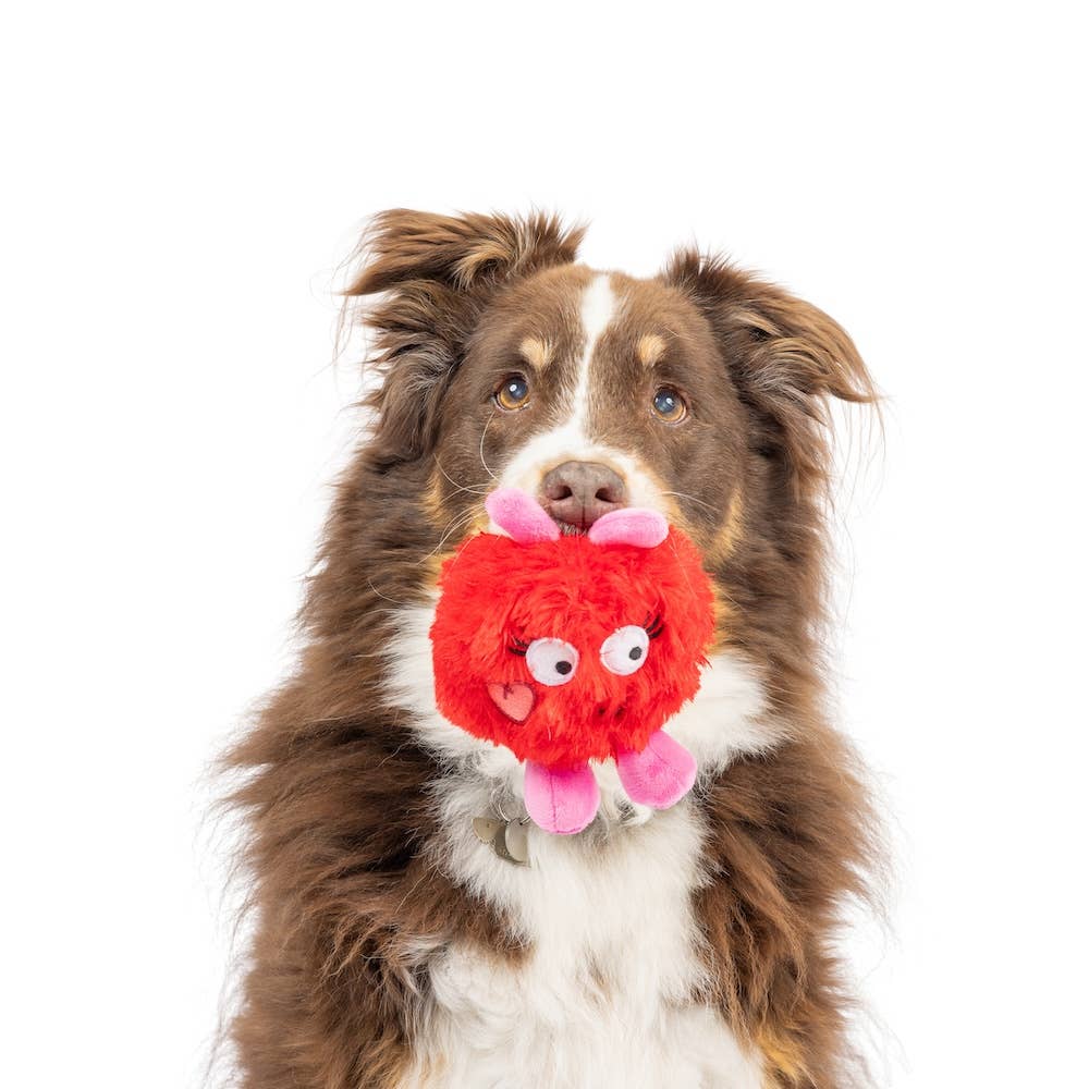 Huxley & Kent - Fur Bug Dog Toy: One Size