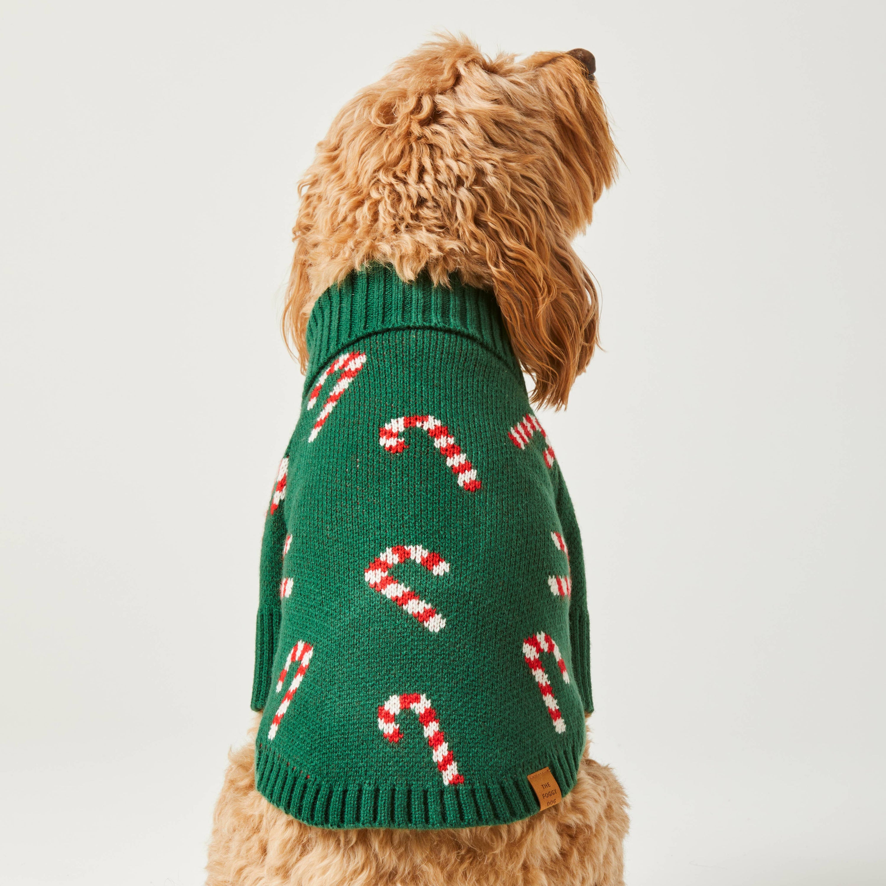 The Foggy Dog - Candy Canes Holiday Dog Sweater: XS
