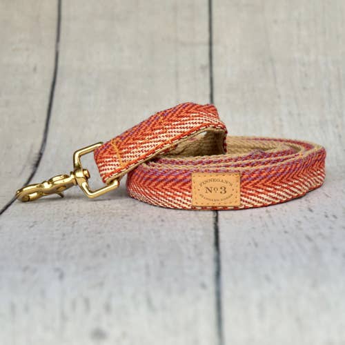 Finnegan’s Standard Goods - 1 inch Tulum Collar: S (15 - 25 lbs)