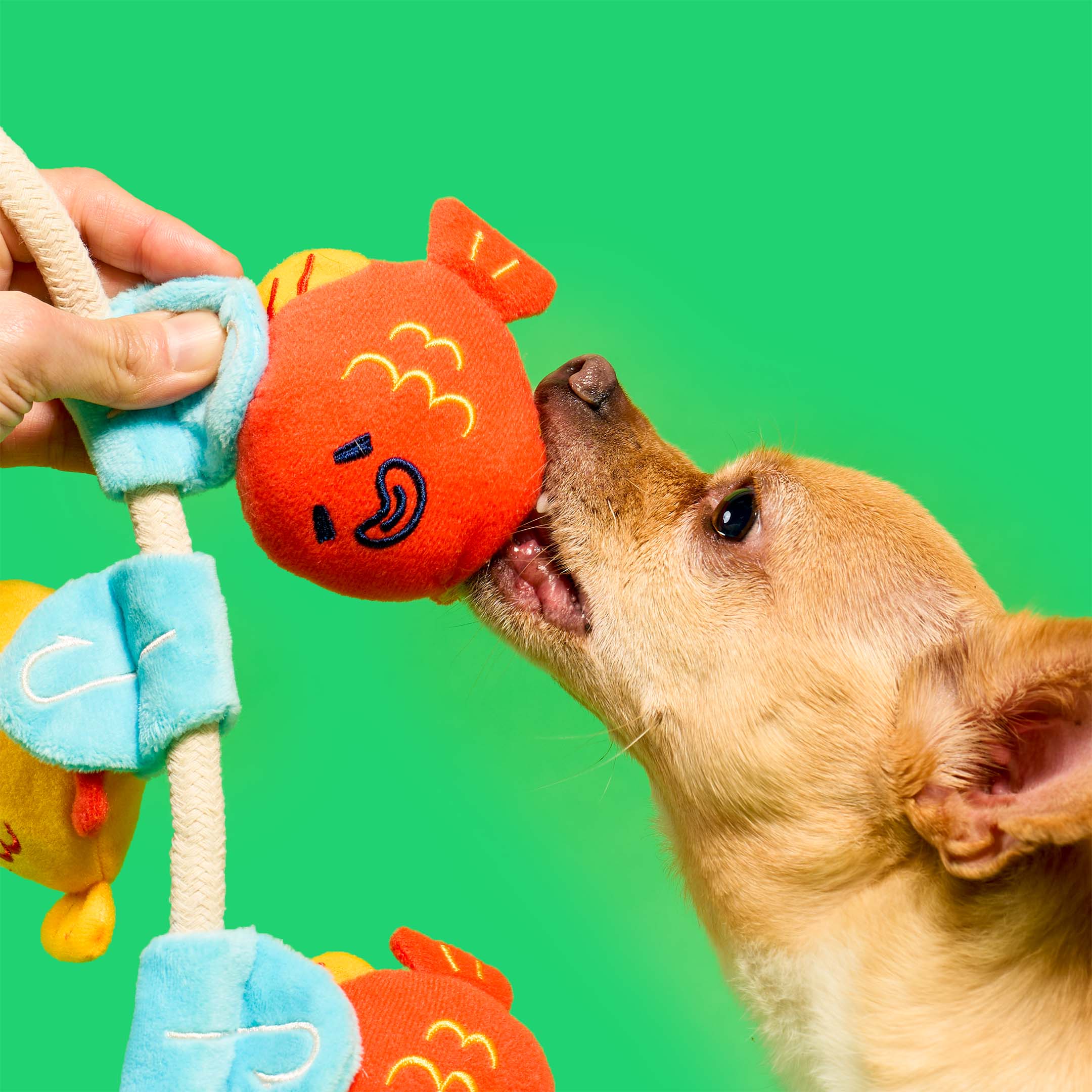 the furryfolks - Fishing Nosework & Tug Toy