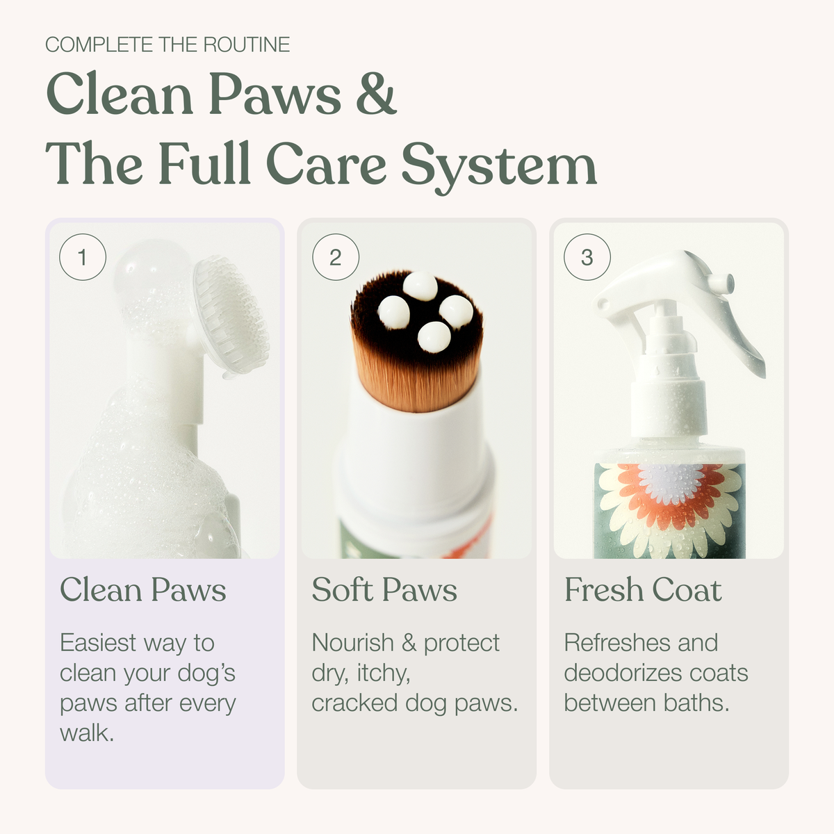 Dandylion | Clean Paws No-Rinse Foaming Cleanser (5 oz)