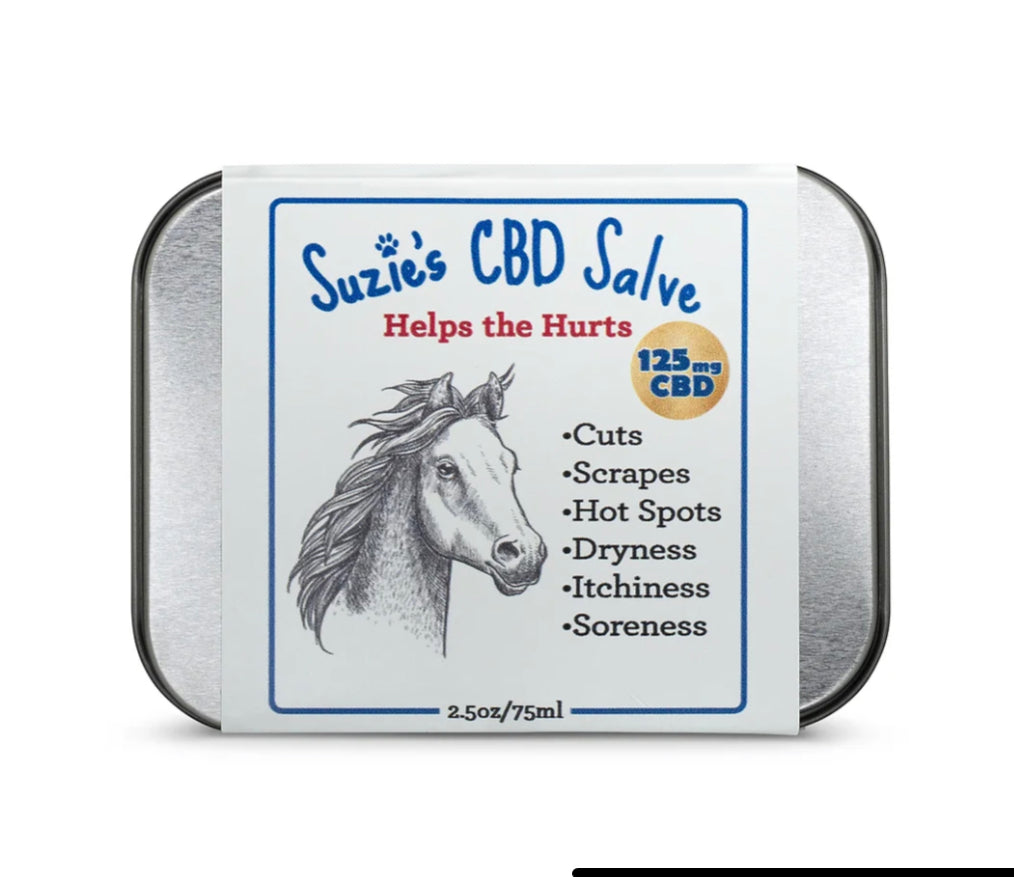 Suzie’s Horse