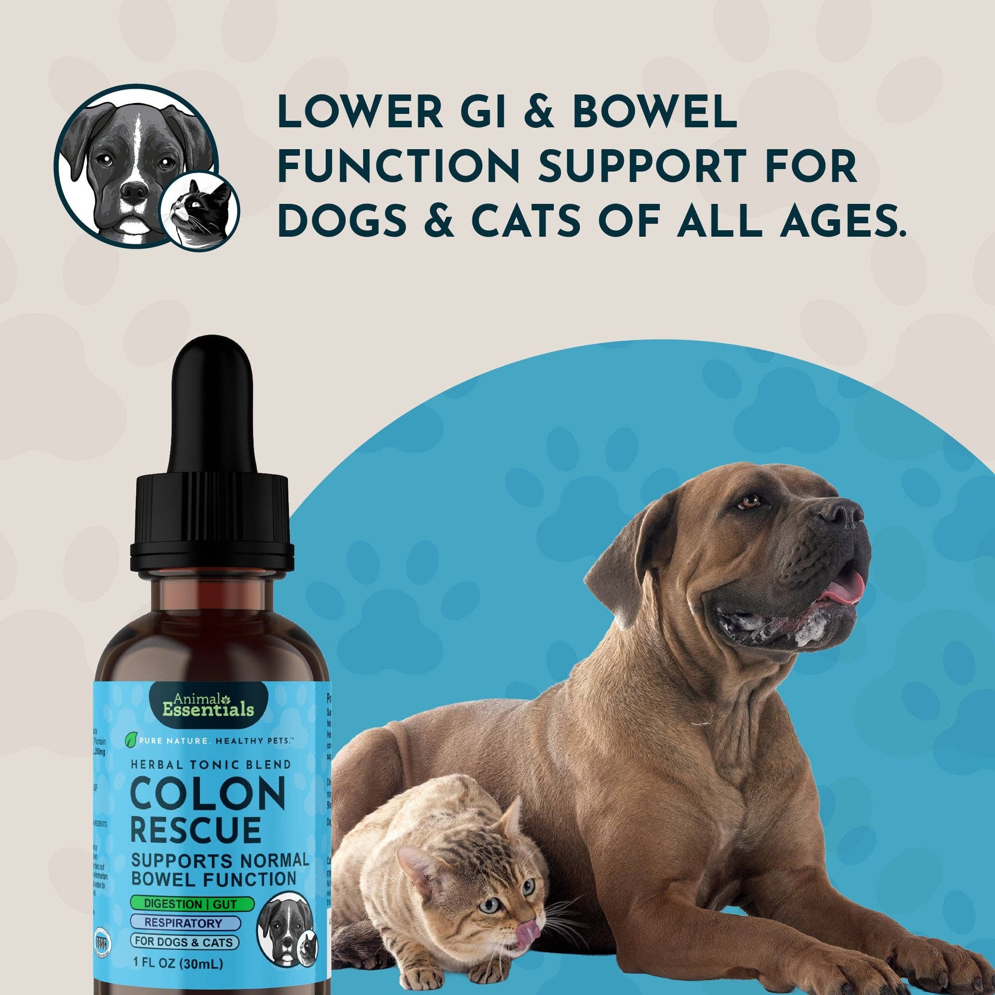 Animal Essentials - Colon Rescue Herbal Tonic | Supports Normal Bowel Function: 1oz