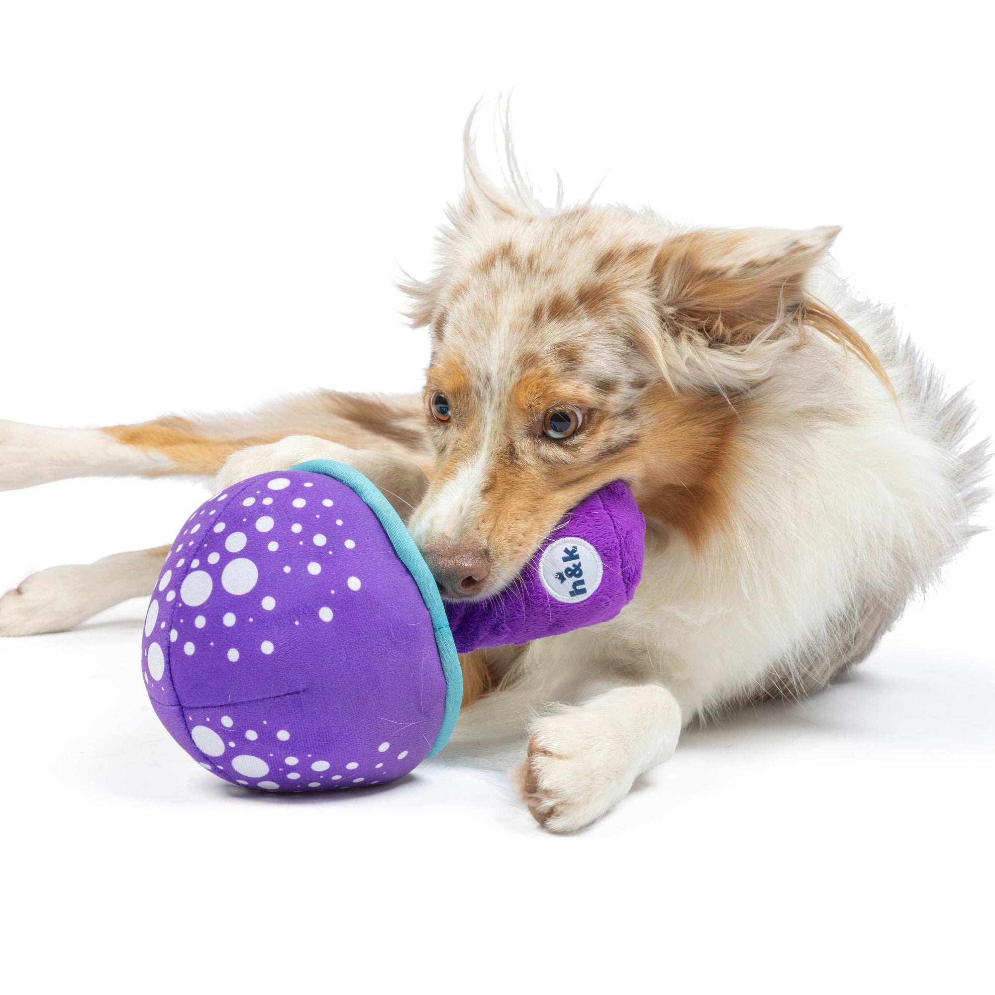 Huxley & Kent - Fetchies® Mellow Mushroom Dog Toy: Large