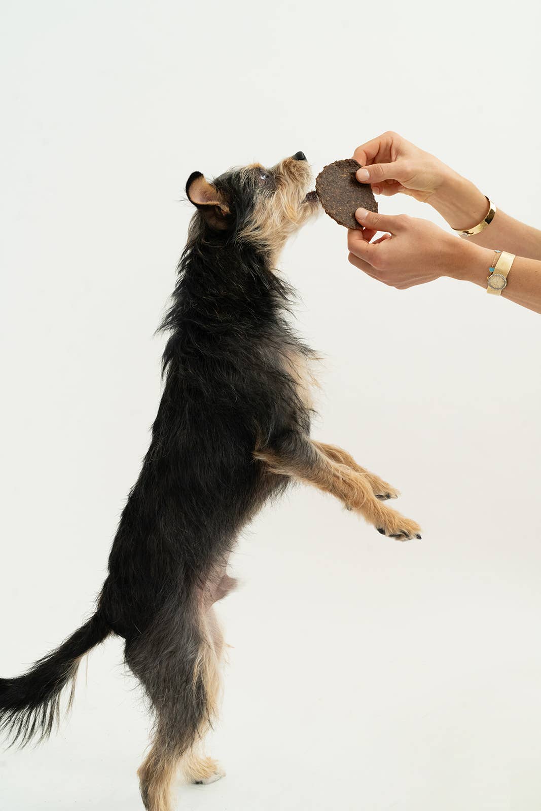 Winnie Lou- Bison Burger Jerky (2.5oz)