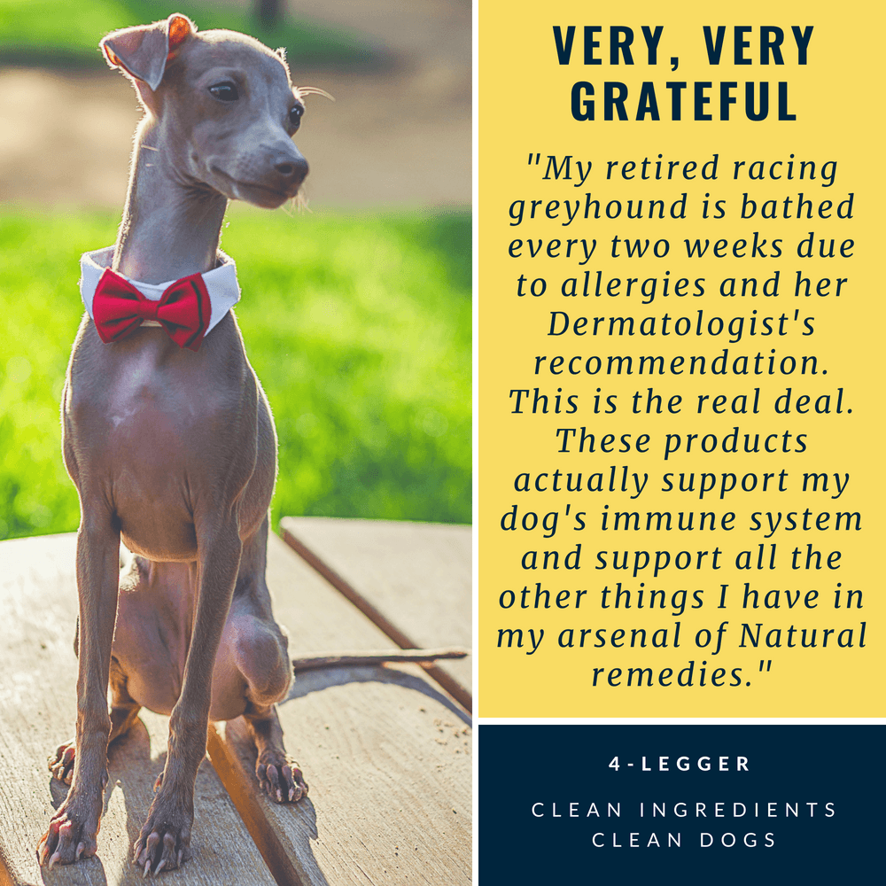 4-Legger - MOISTURIZE Organic Hemp Dog Shampoo with Lemongrass: (16 oz)