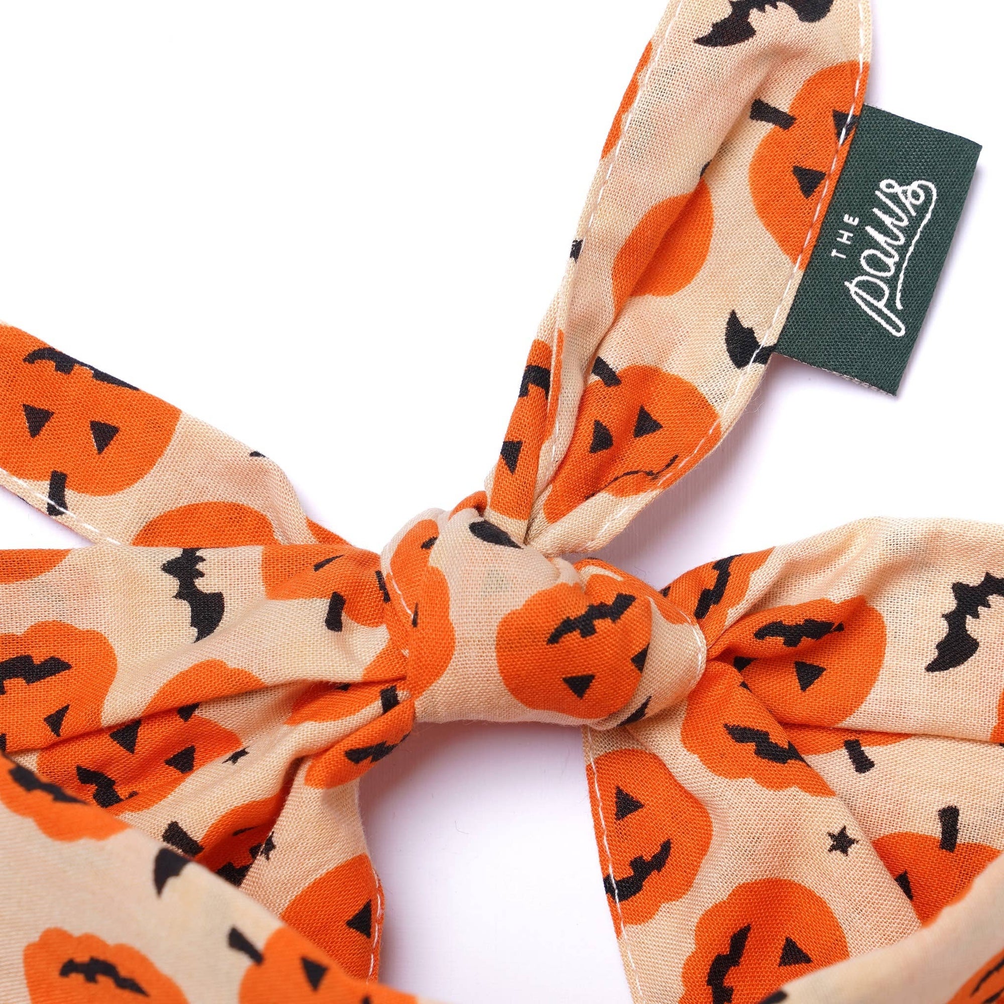 The Paws - Pupkin Halloween Dog Bandana: L