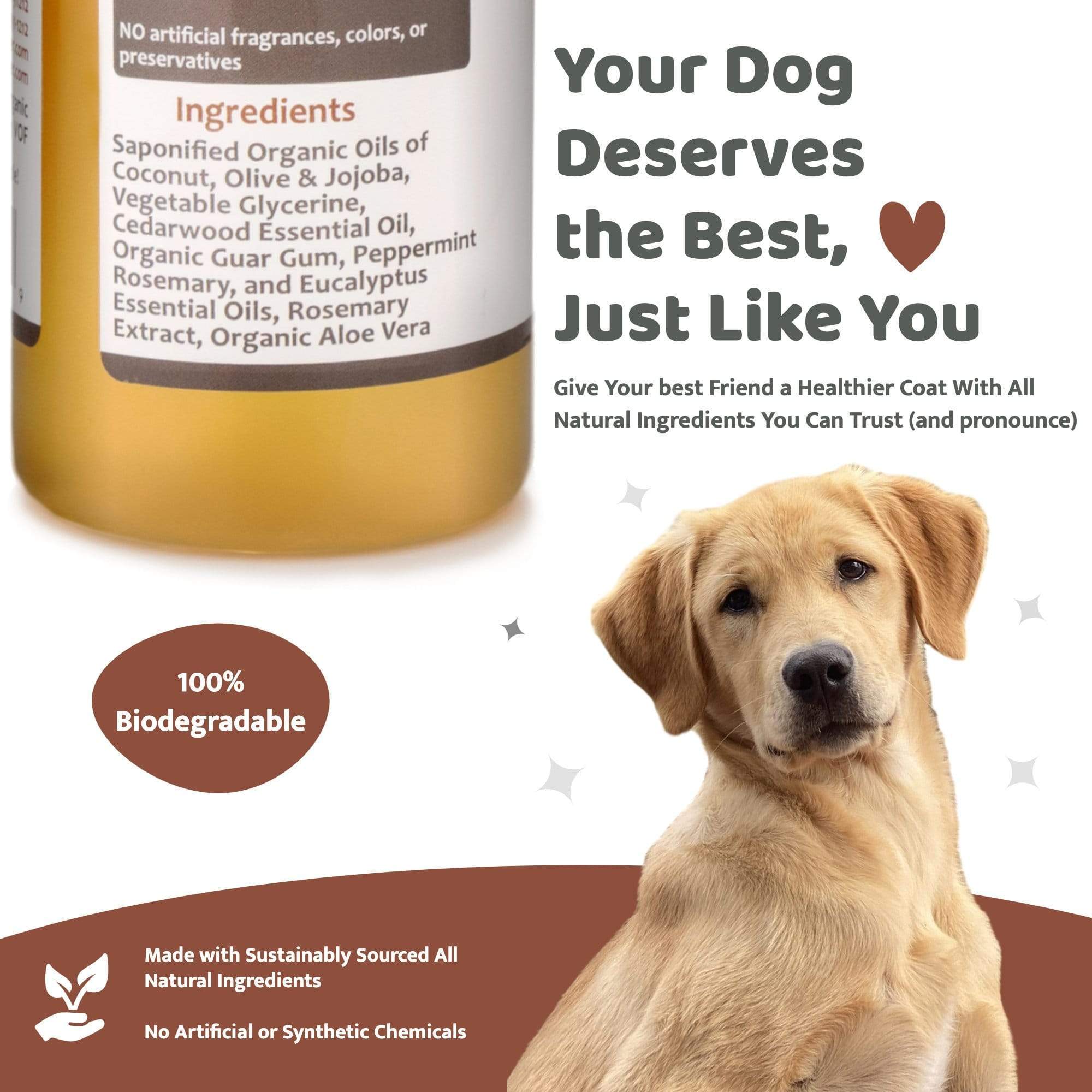 4-Legger - Natural Cedar Dog Shampoo and Conditioner with Peppermint & Eucalyptus: 16 oz