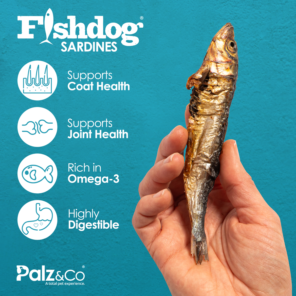 Palz&Co | Fishdog Sardines (2.5oz)