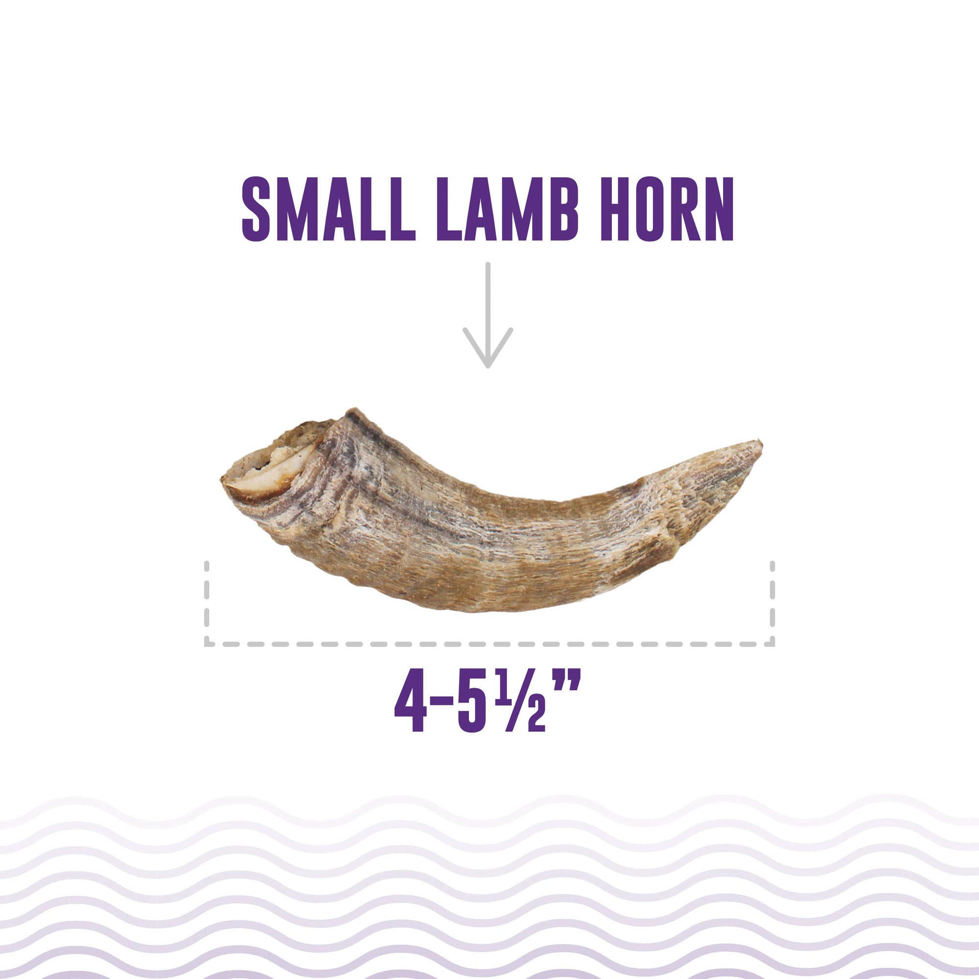 Icelandic+ - Icelandic+ Small Lamb Horn with Marrow Dog Treat: 1-ct (Single)