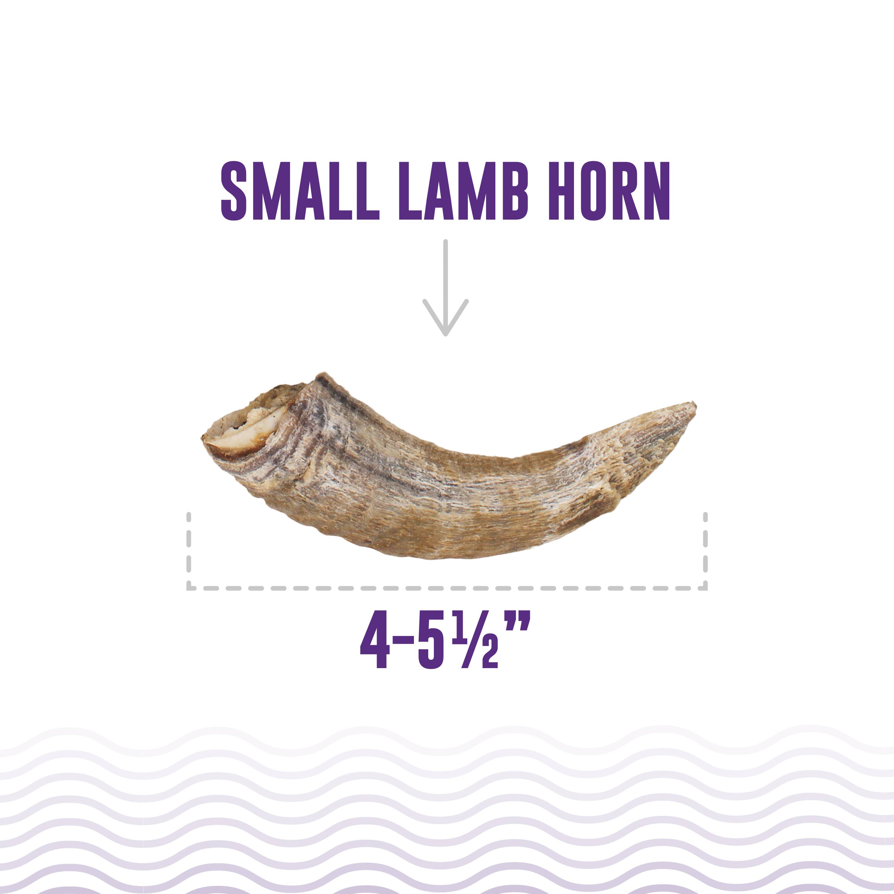 Icelandic+ - Icelandic+ Small Lamb Horn with Marrow Dog Treat: 1-ct (Single)