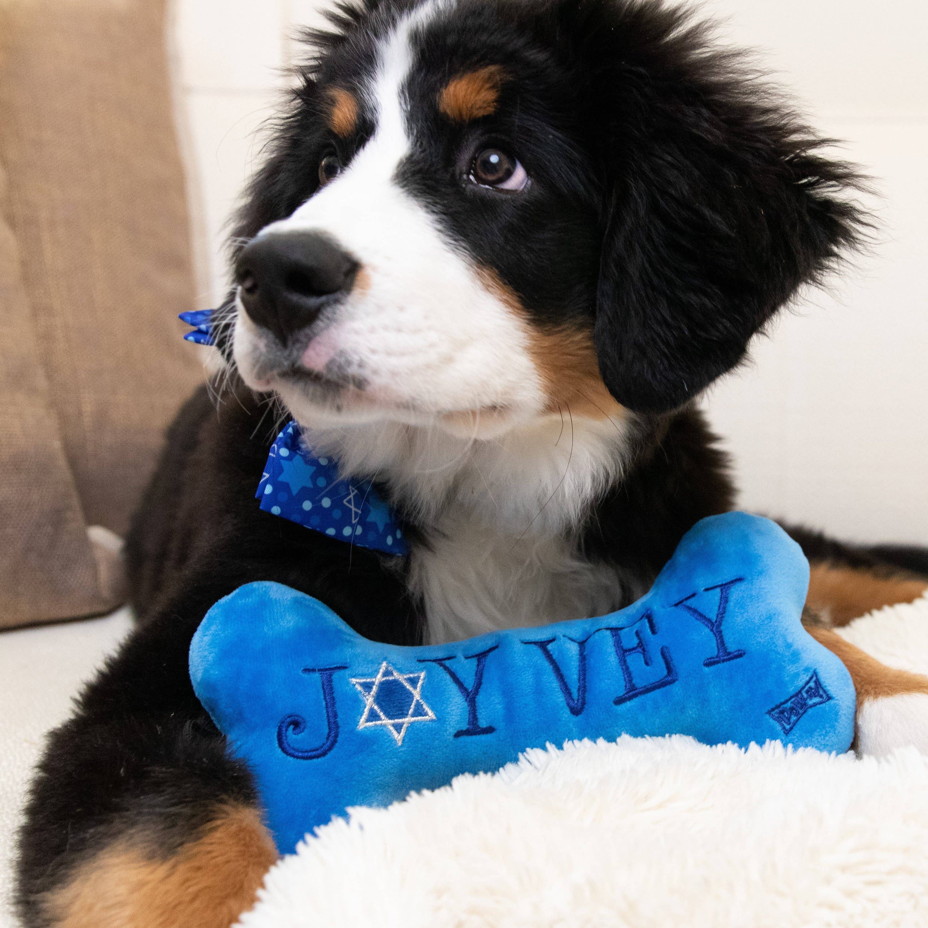 Huxley & Kent - Joy Vey Bone For Dogs
