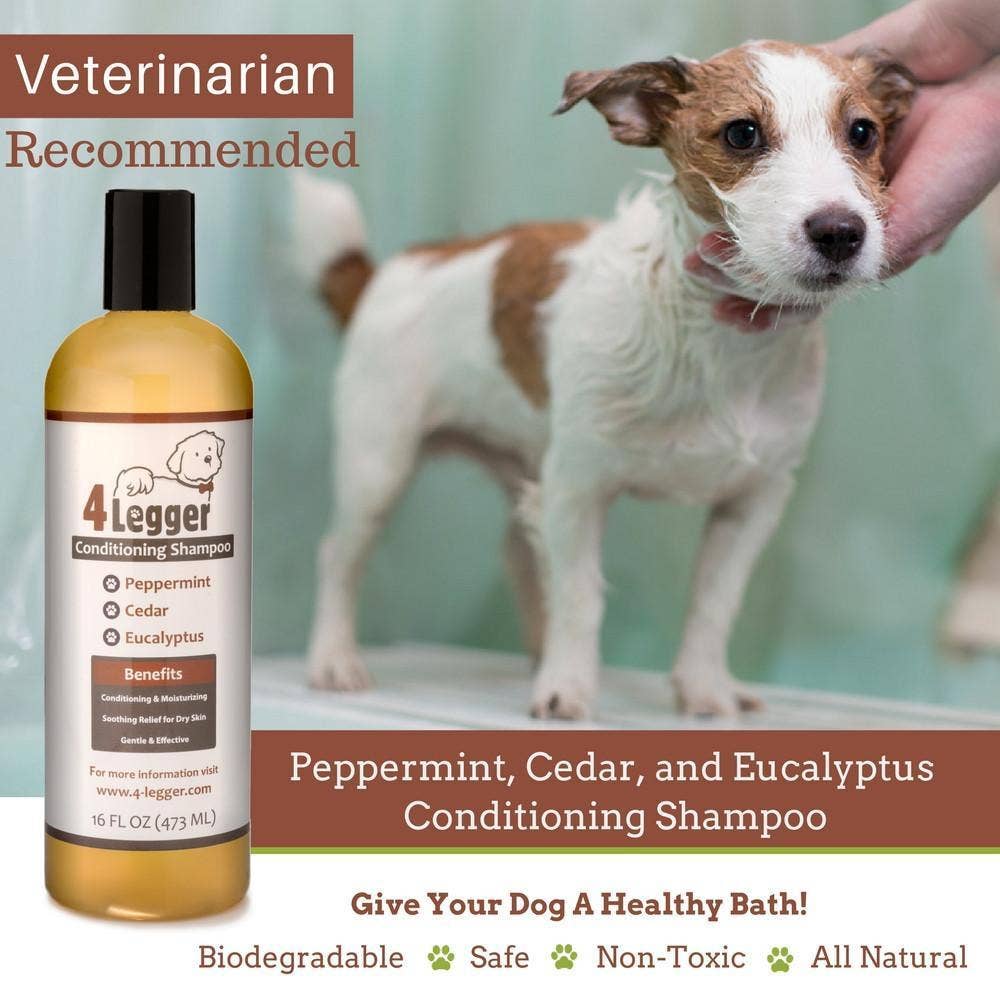 4-Legger - Natural Cedar Dog Shampoo and Conditioner with Peppermint & Eucalyptus: 16 oz