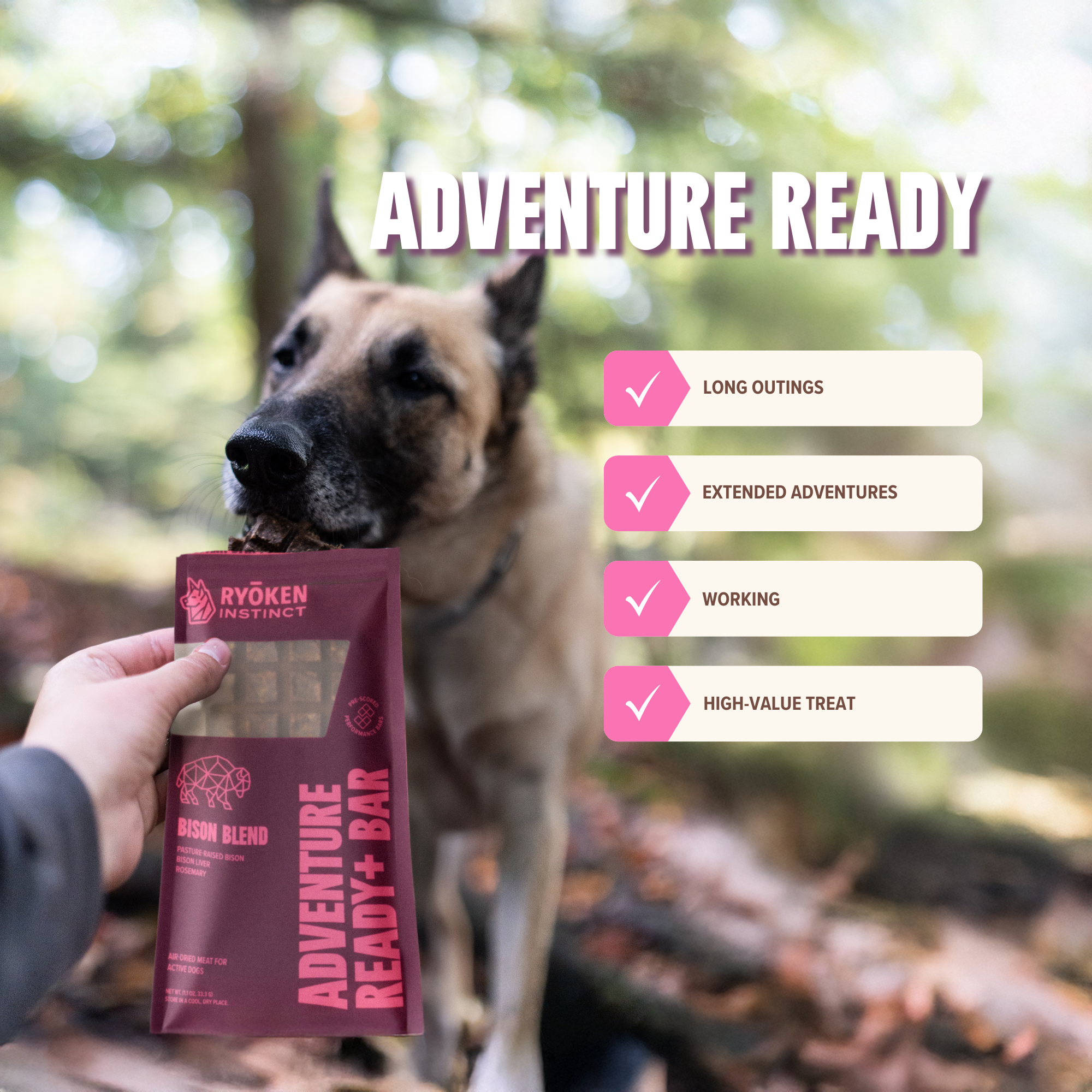 RYŌKEN INSTINCT - Bison Treat & Snack Bar for Active Dogs - Energy & Recovery