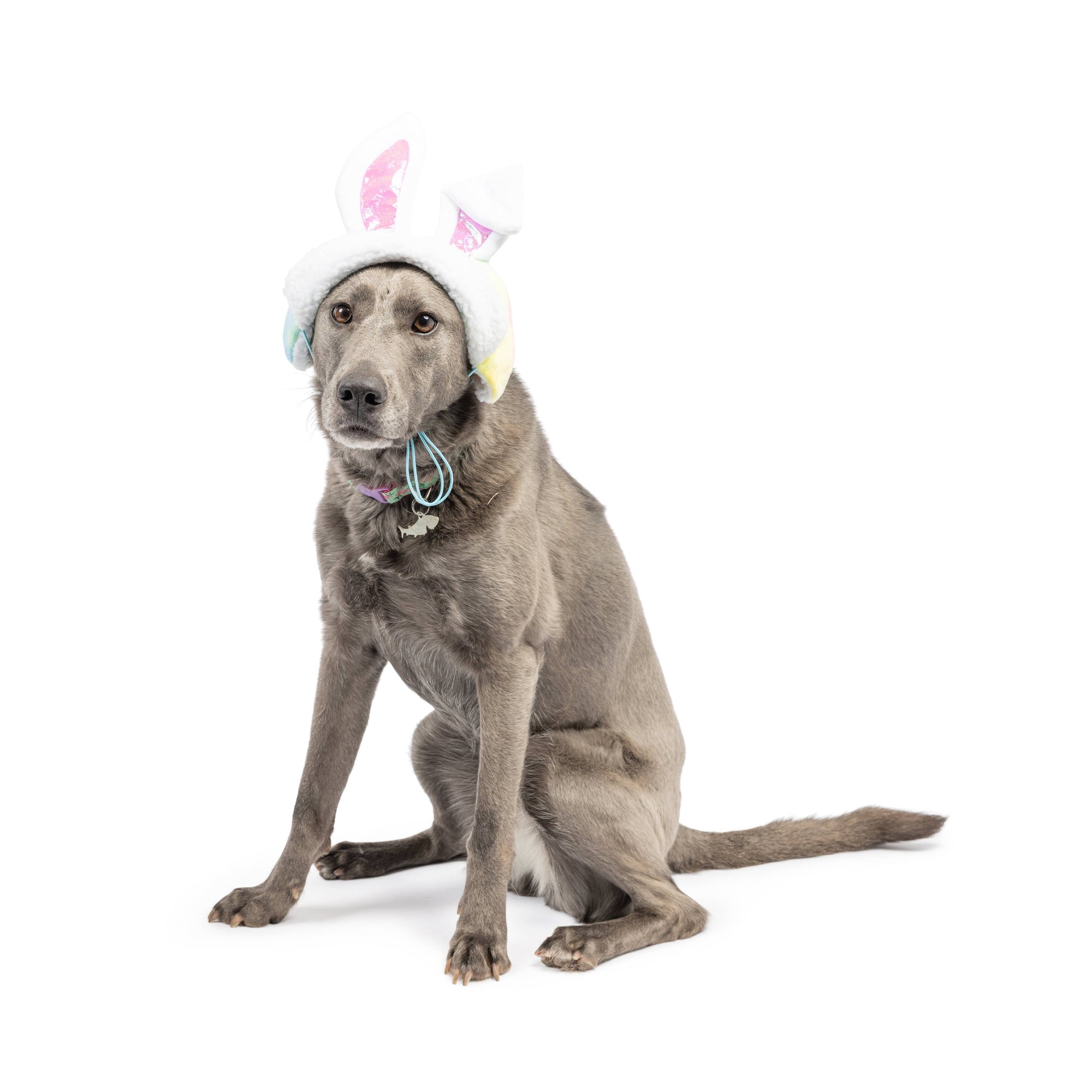 Huxley & Kent - Bunny Ears Hat with SnugFit®: Large