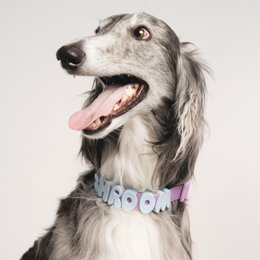 Springland Pets - Silicone Dog Charms, Personalize Pet Collar (63 Pack Assort): Lilac