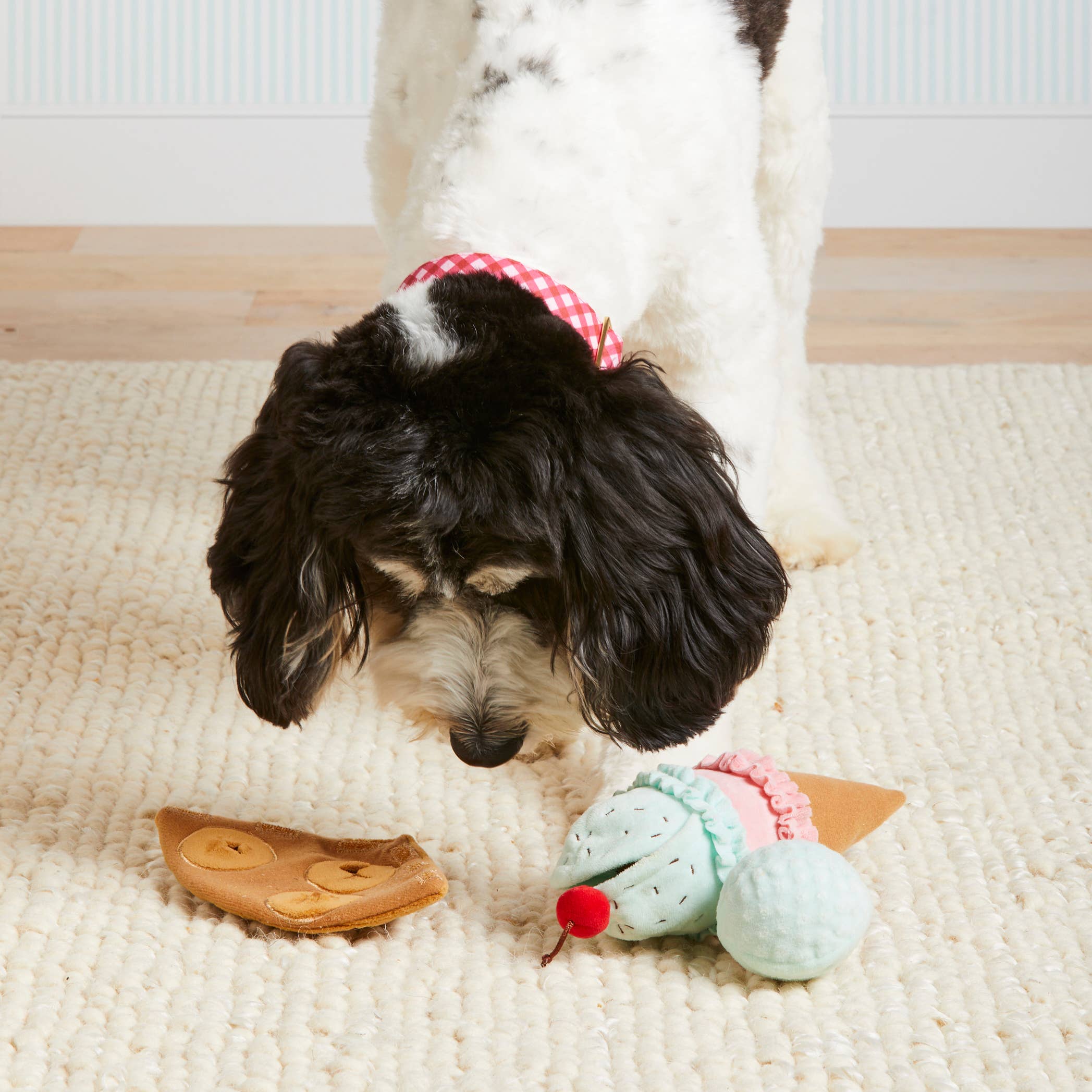 The Foggy Dog - Ice Cream Interactive 2-in-1 Bounce Dog Toy