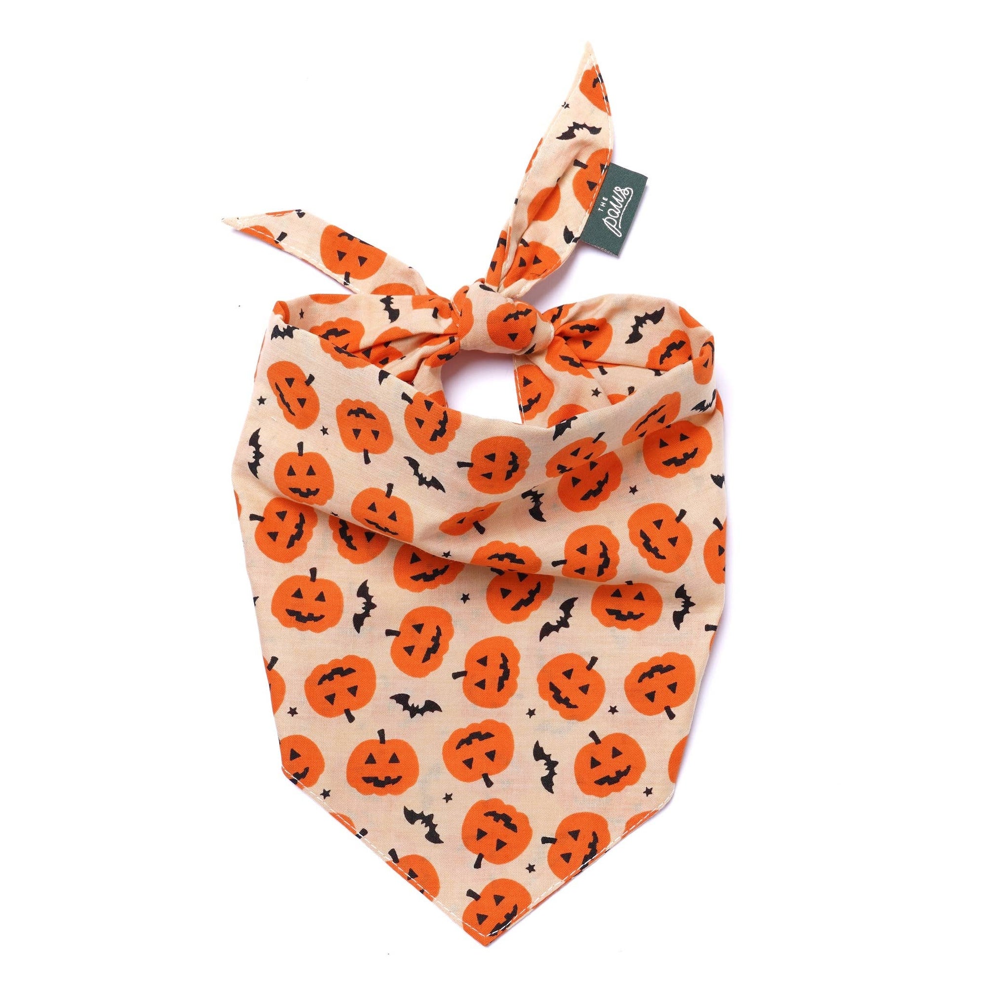 The Paws - Pupkin Halloween Dog Bandana: M